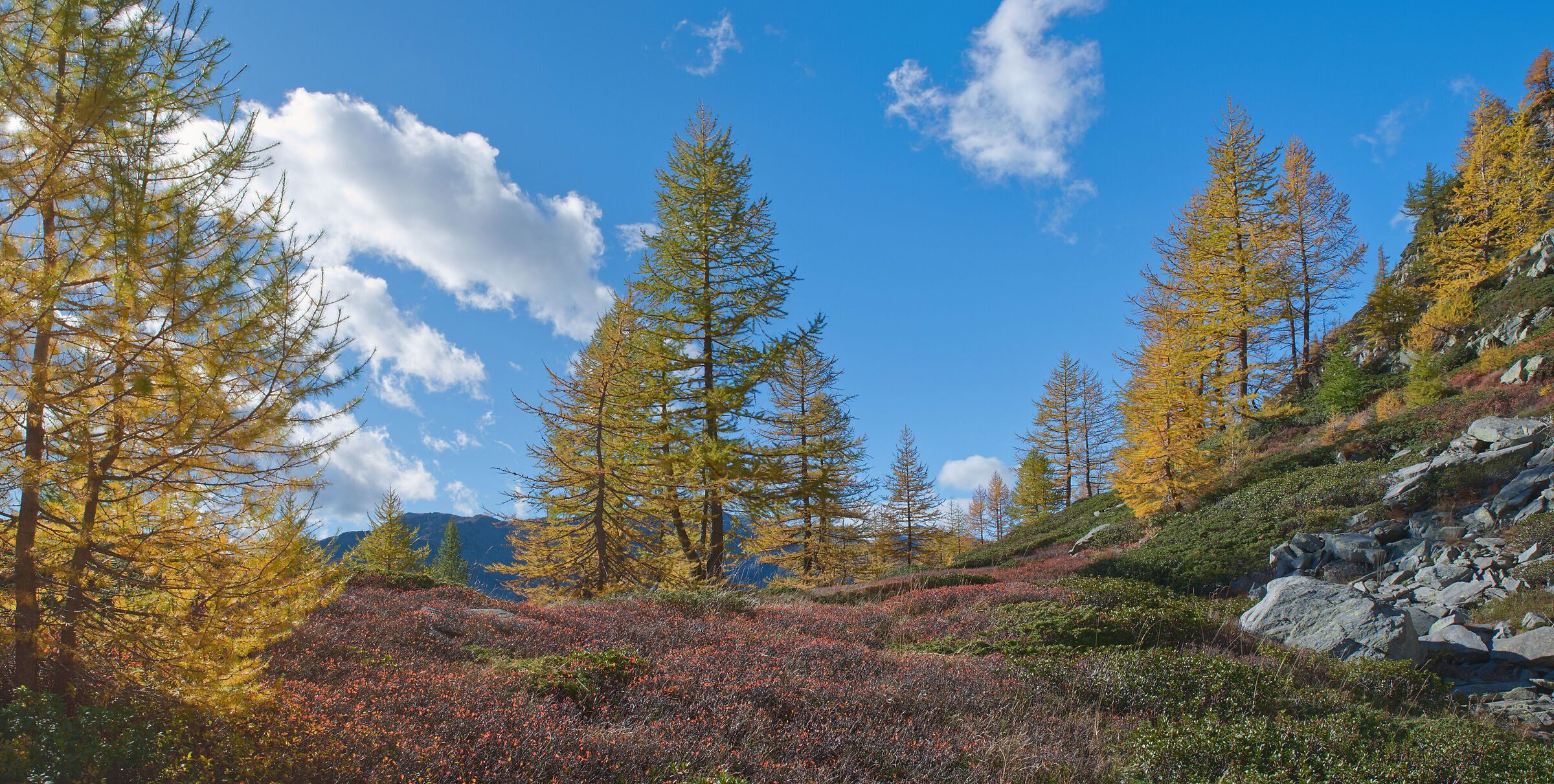 Alta Val Bognanco - the colours of autumn