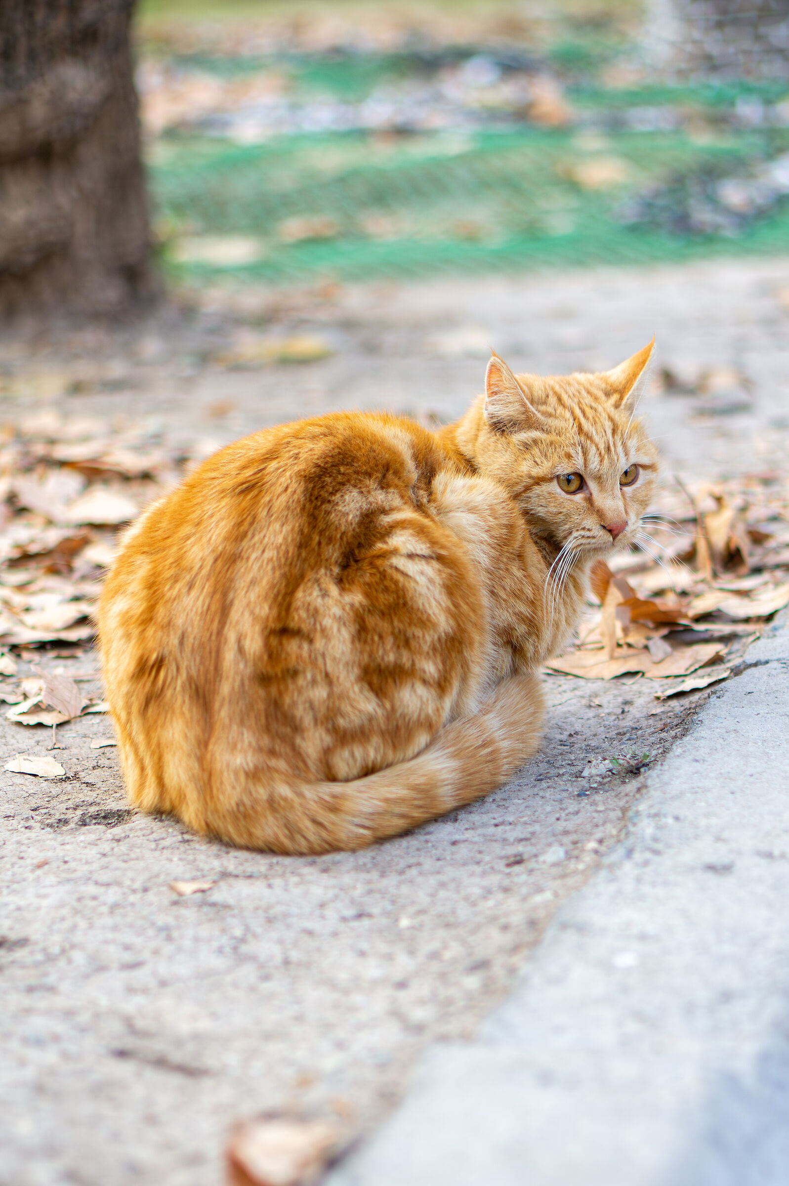 Parco Mellat