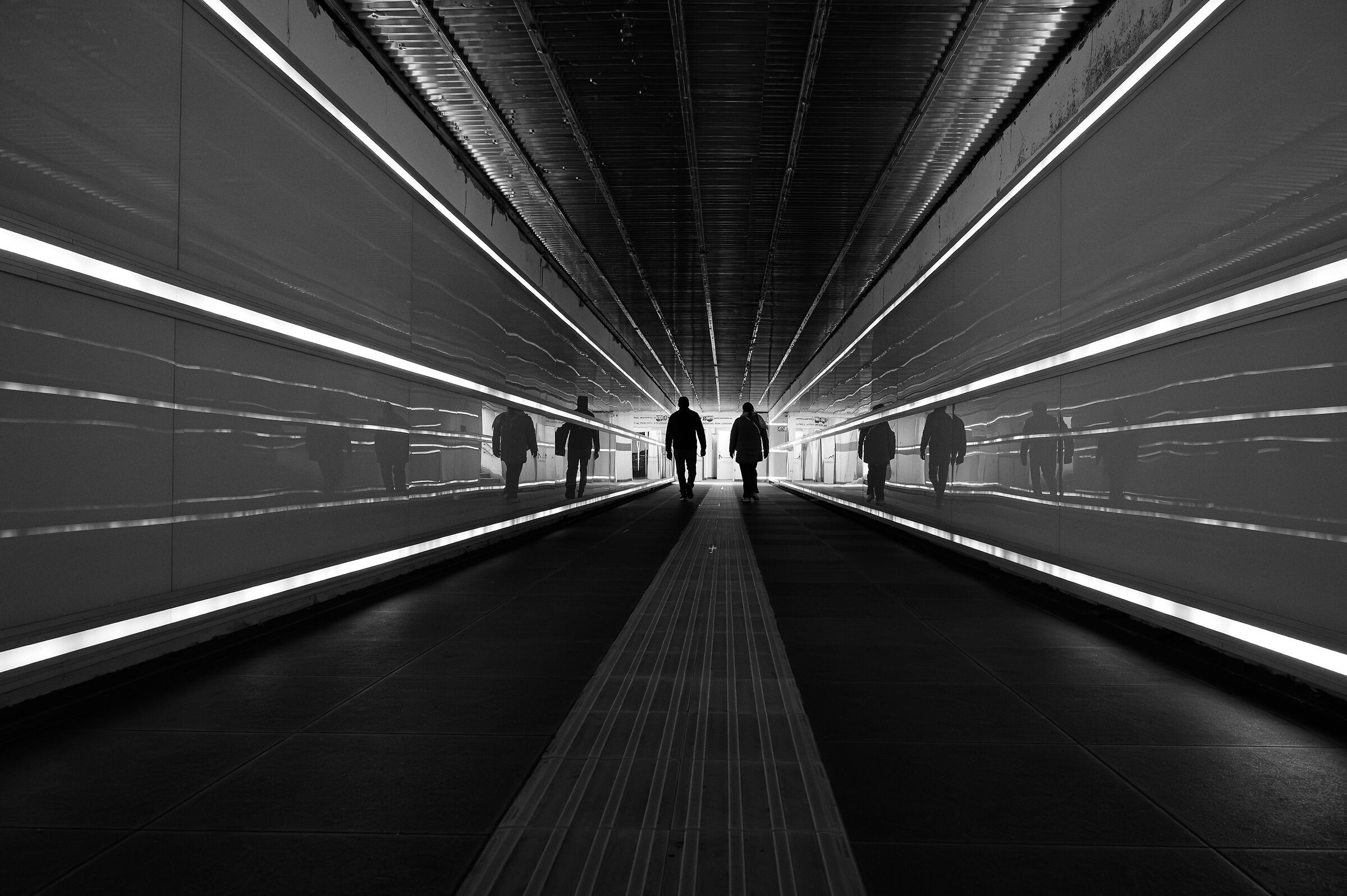 Lines