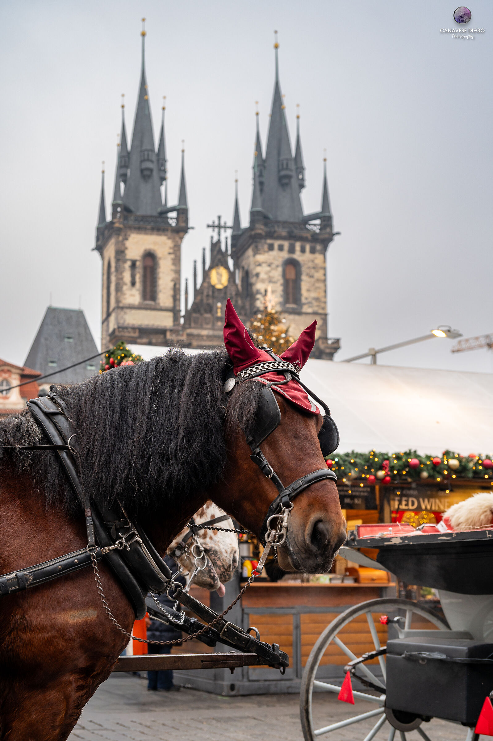 Christmas in Prague