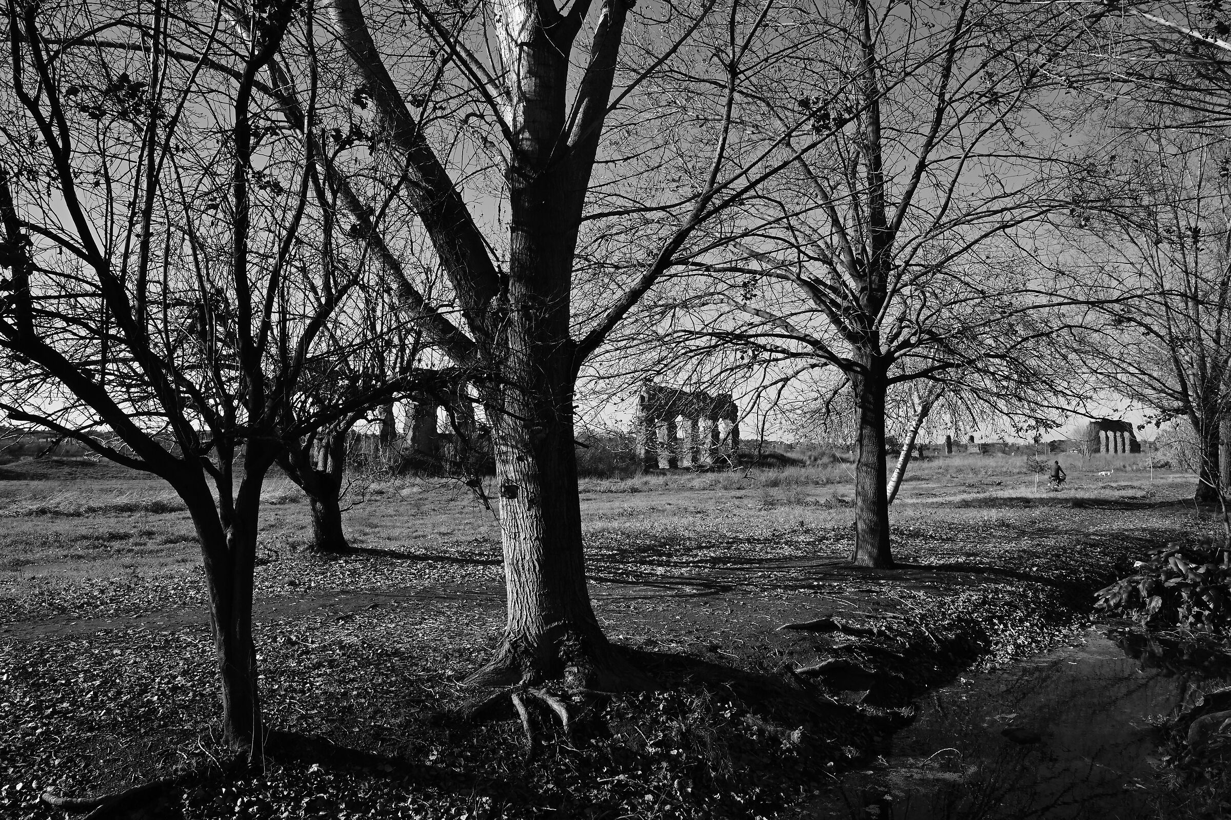 Untitled Photo