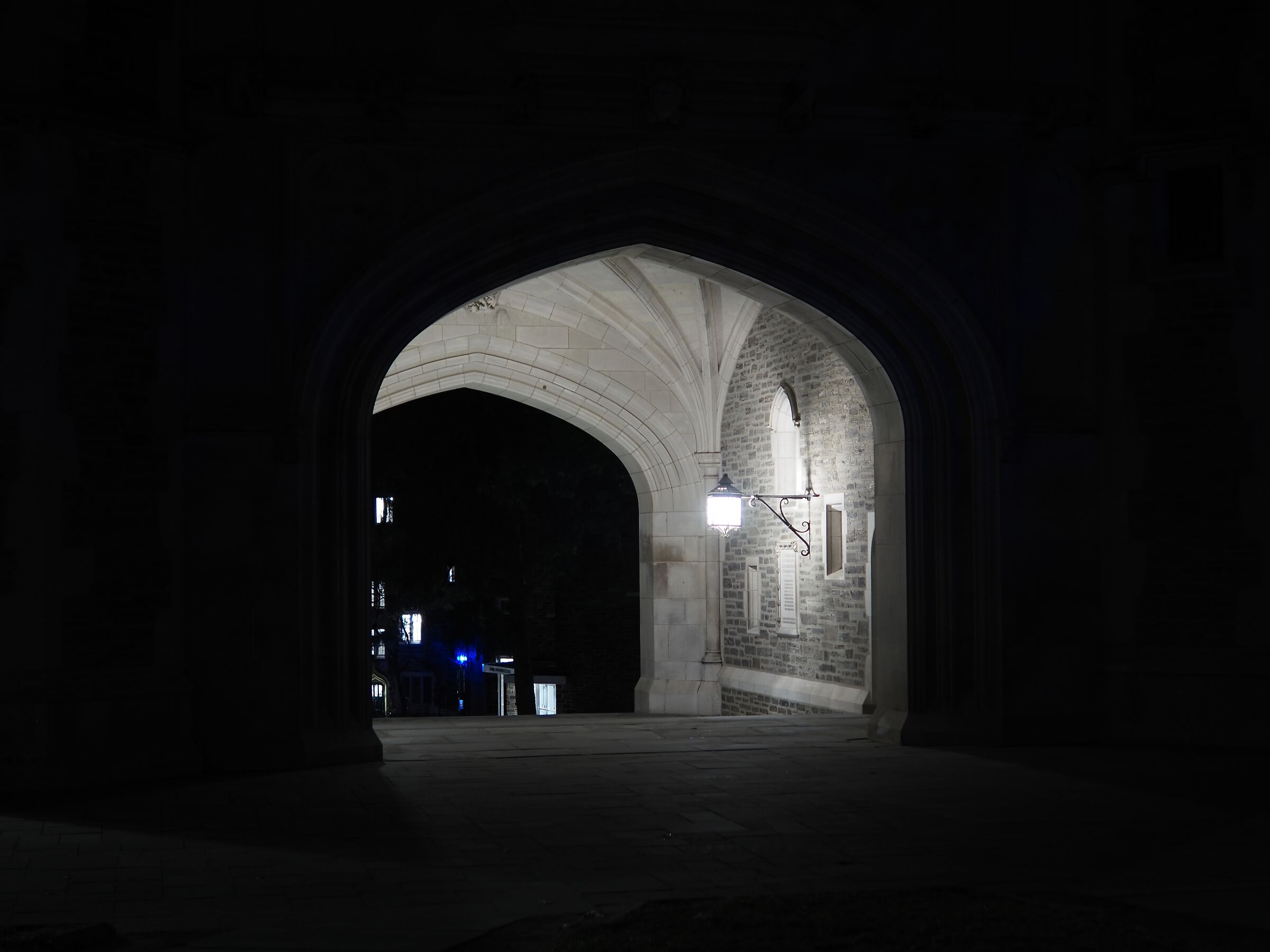 Nel campus di Princeton (2)