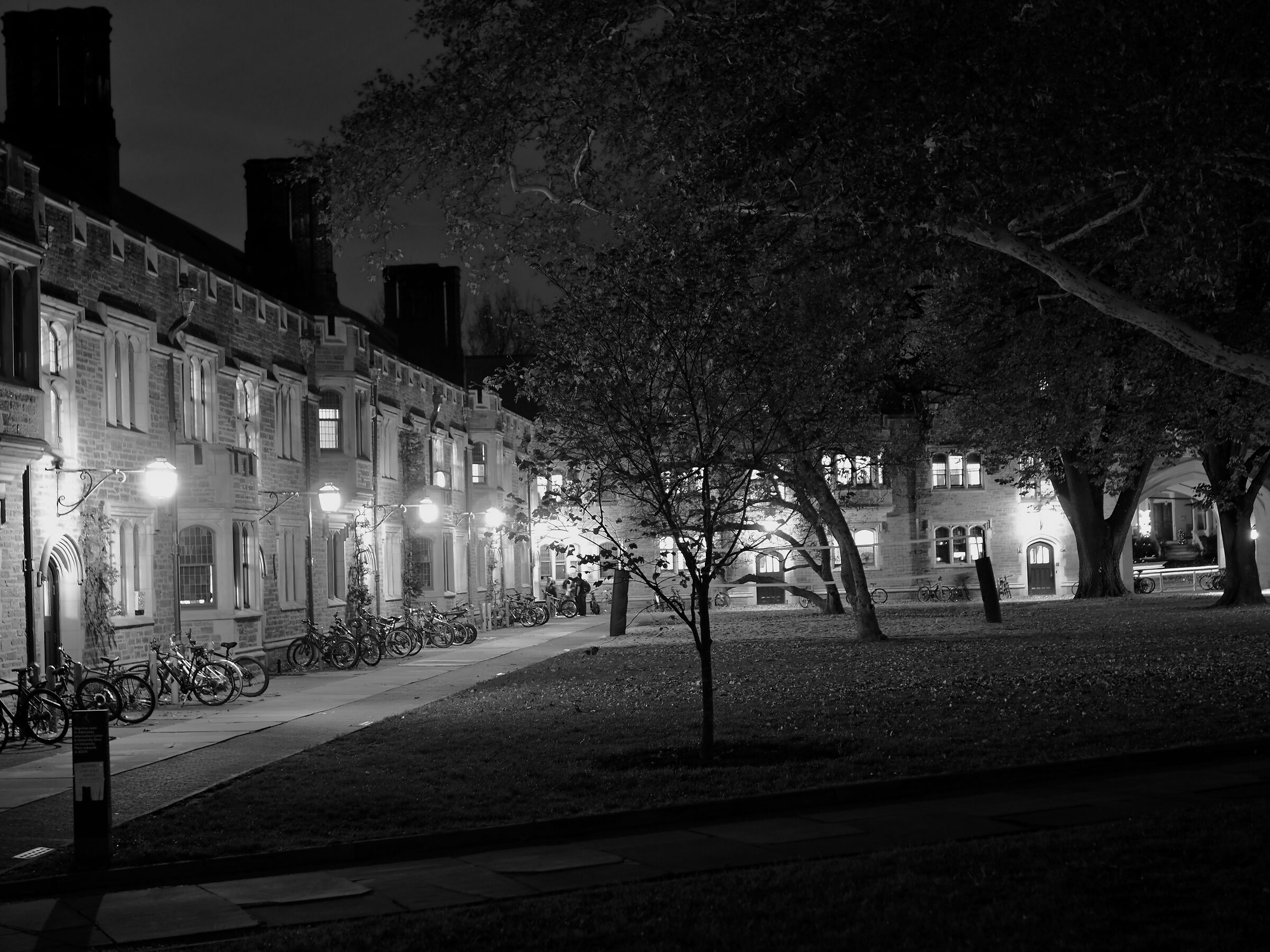 Nel campus di Princeton (3)