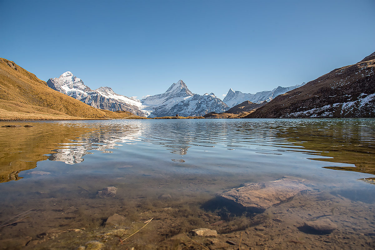 on the surface of the water