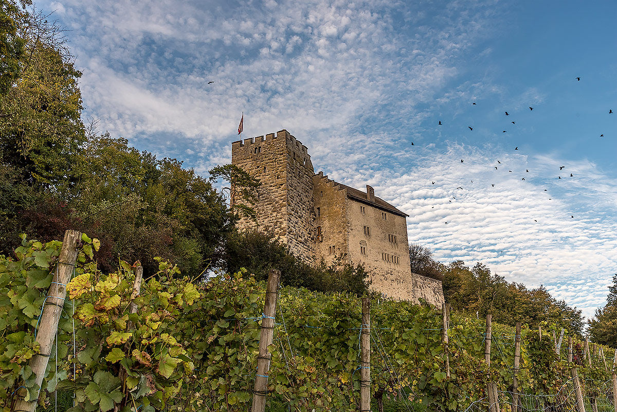 Hbsburg Schloss