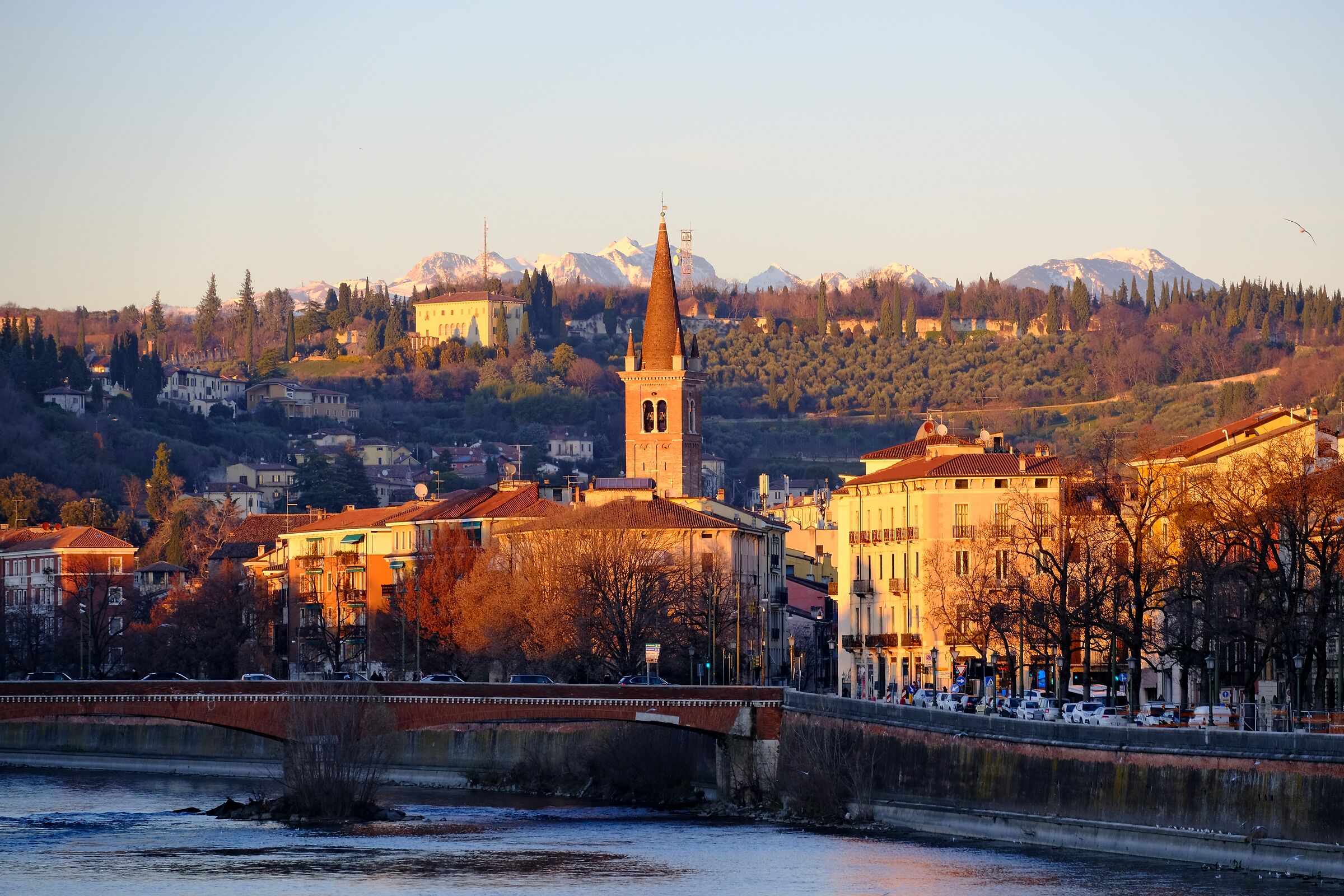 Verona.