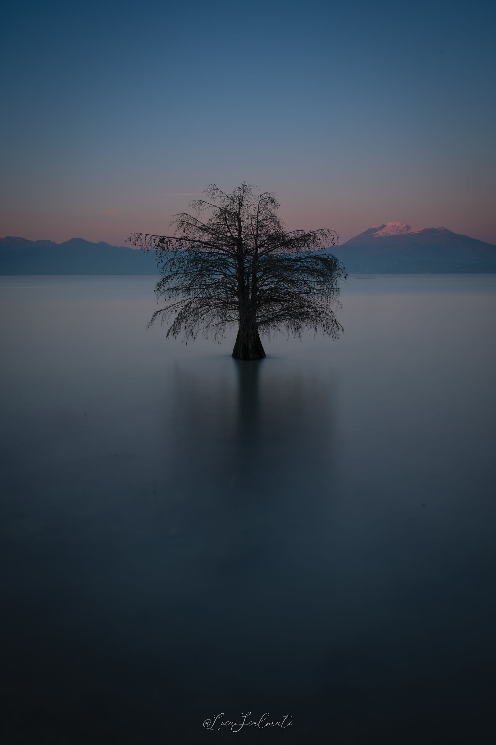 Knoblauchtier-Baun vertical