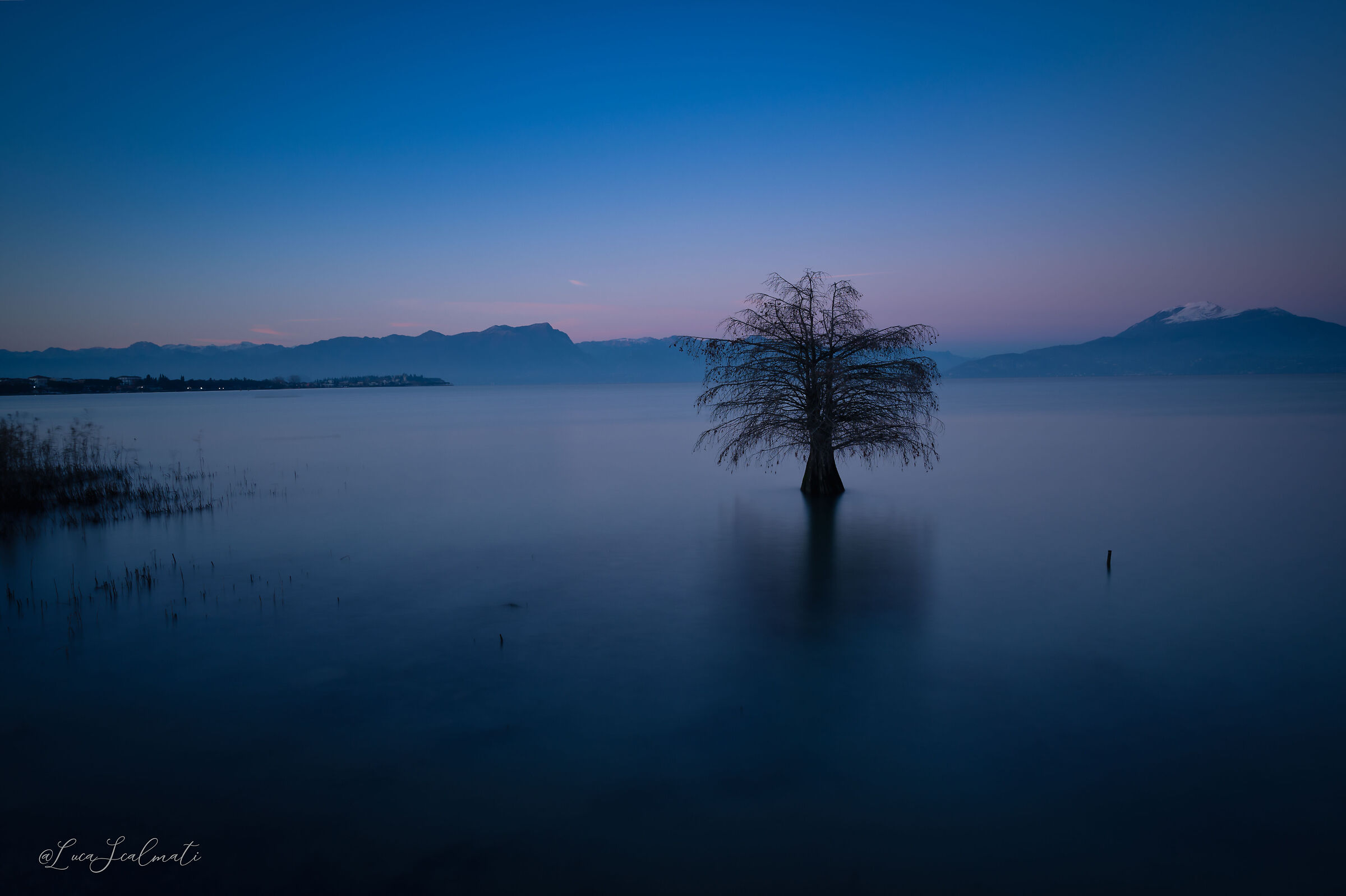 Knoblauchtier-Baun horizontal