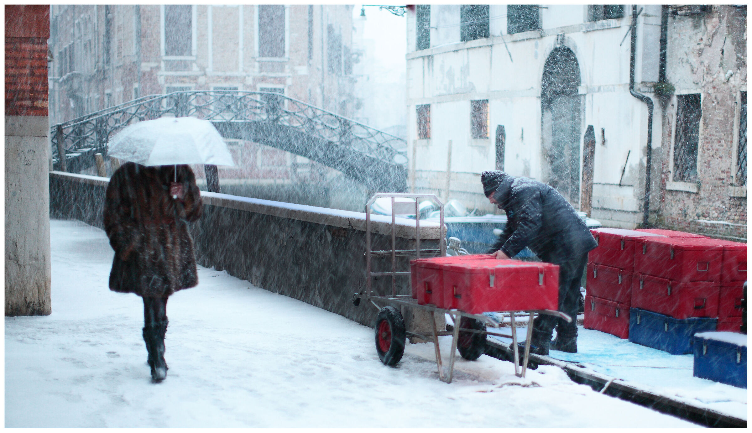 There are those who can and those who cannot...