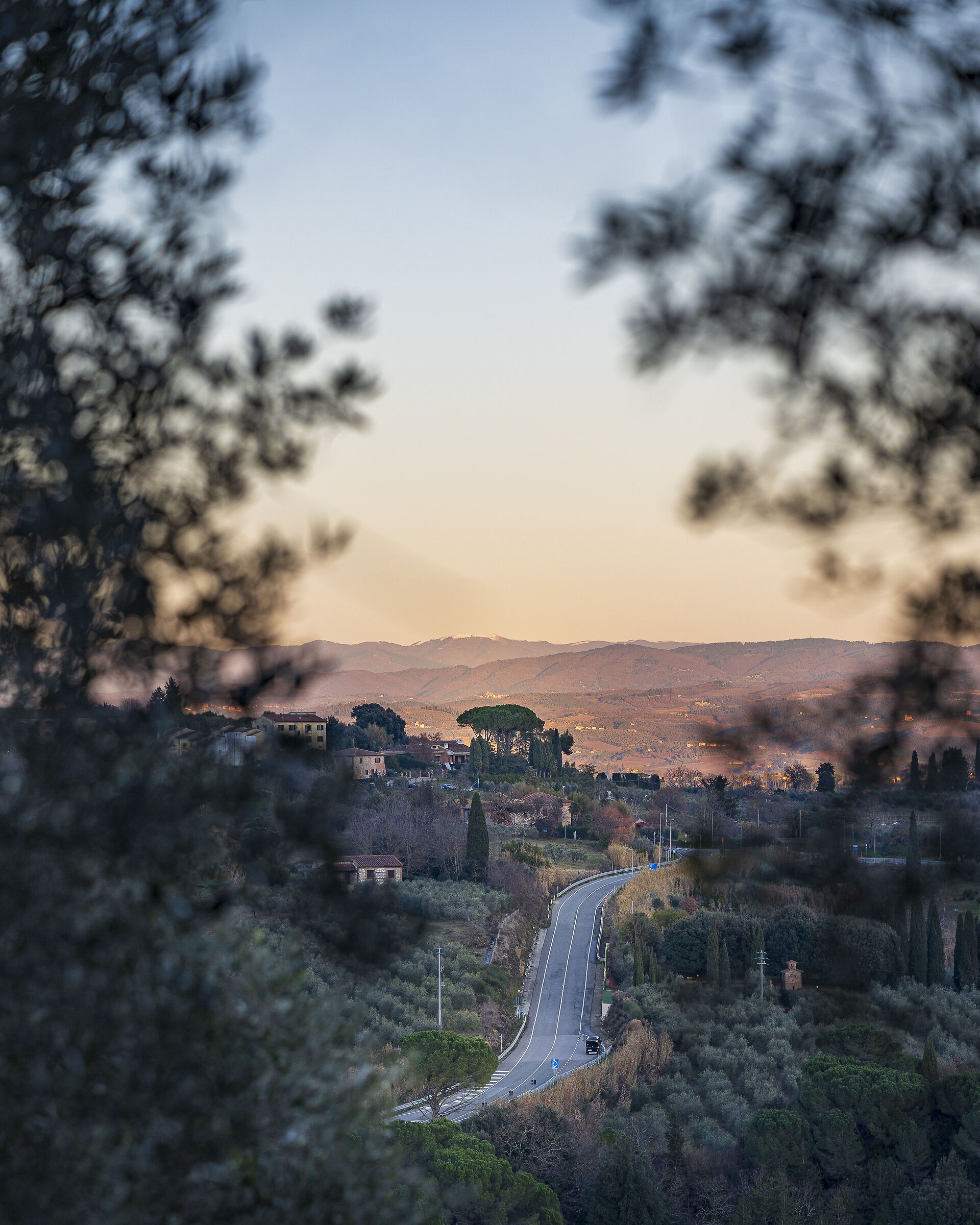Road to Volterra in a natural setting