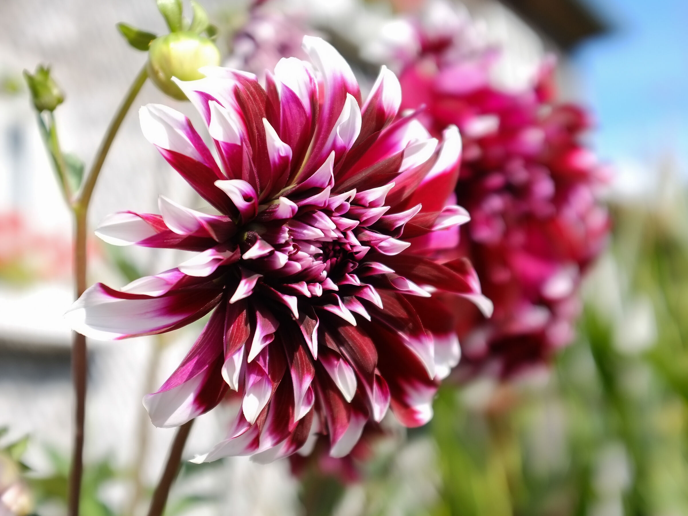 My original Fuji X100 totally surprised me