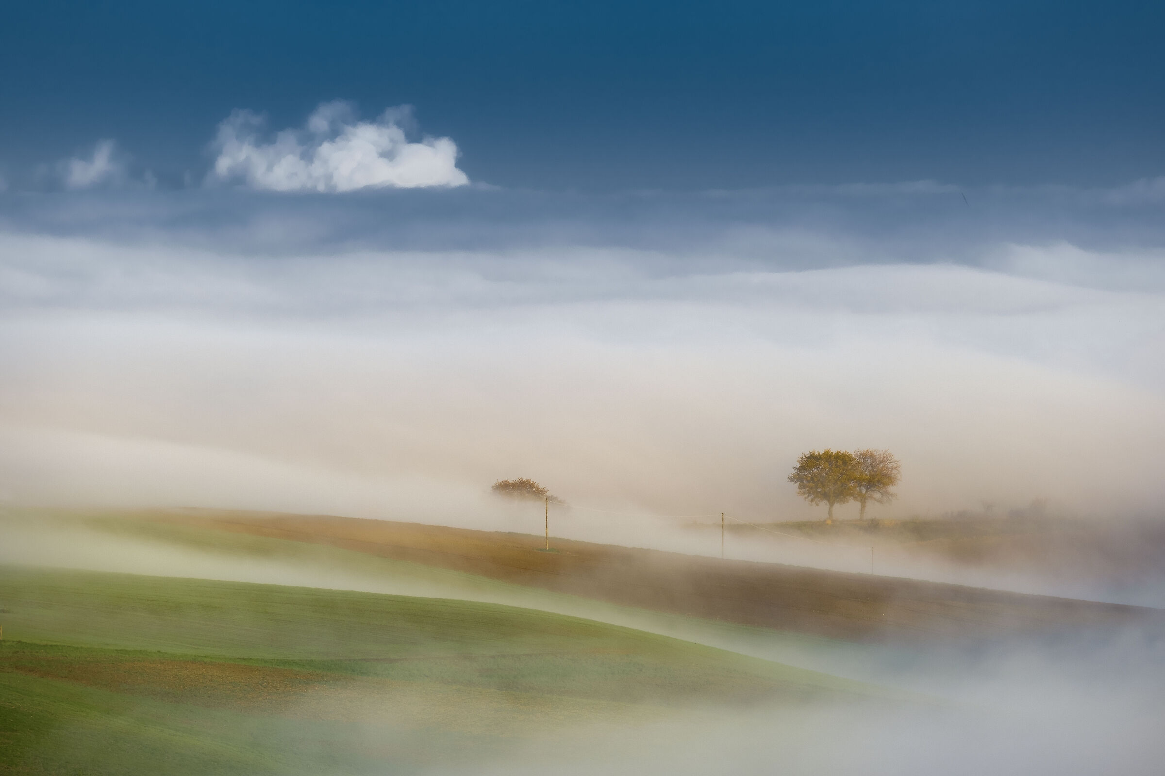 The Dance of the Fog