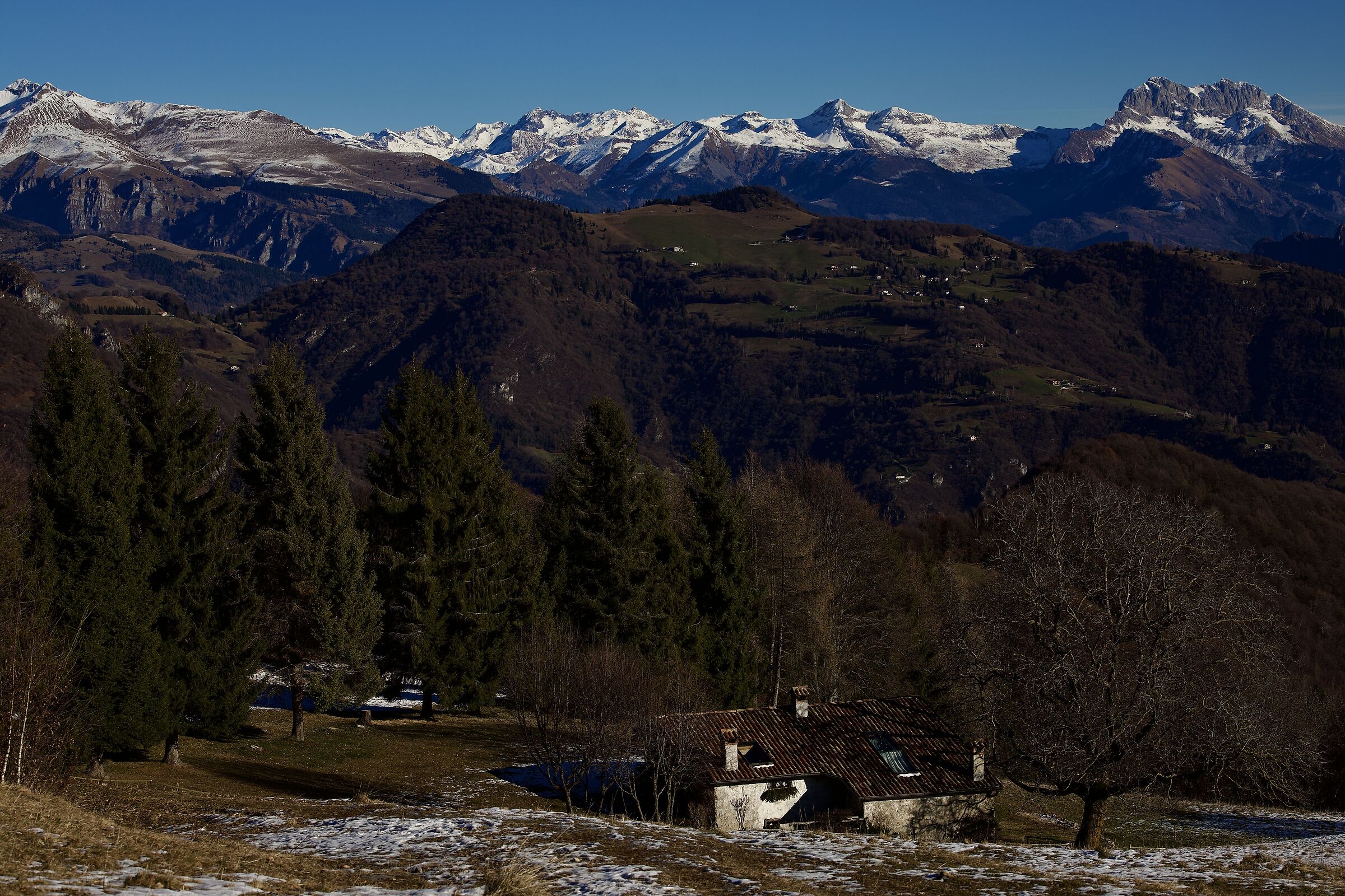 Untitled Photo
