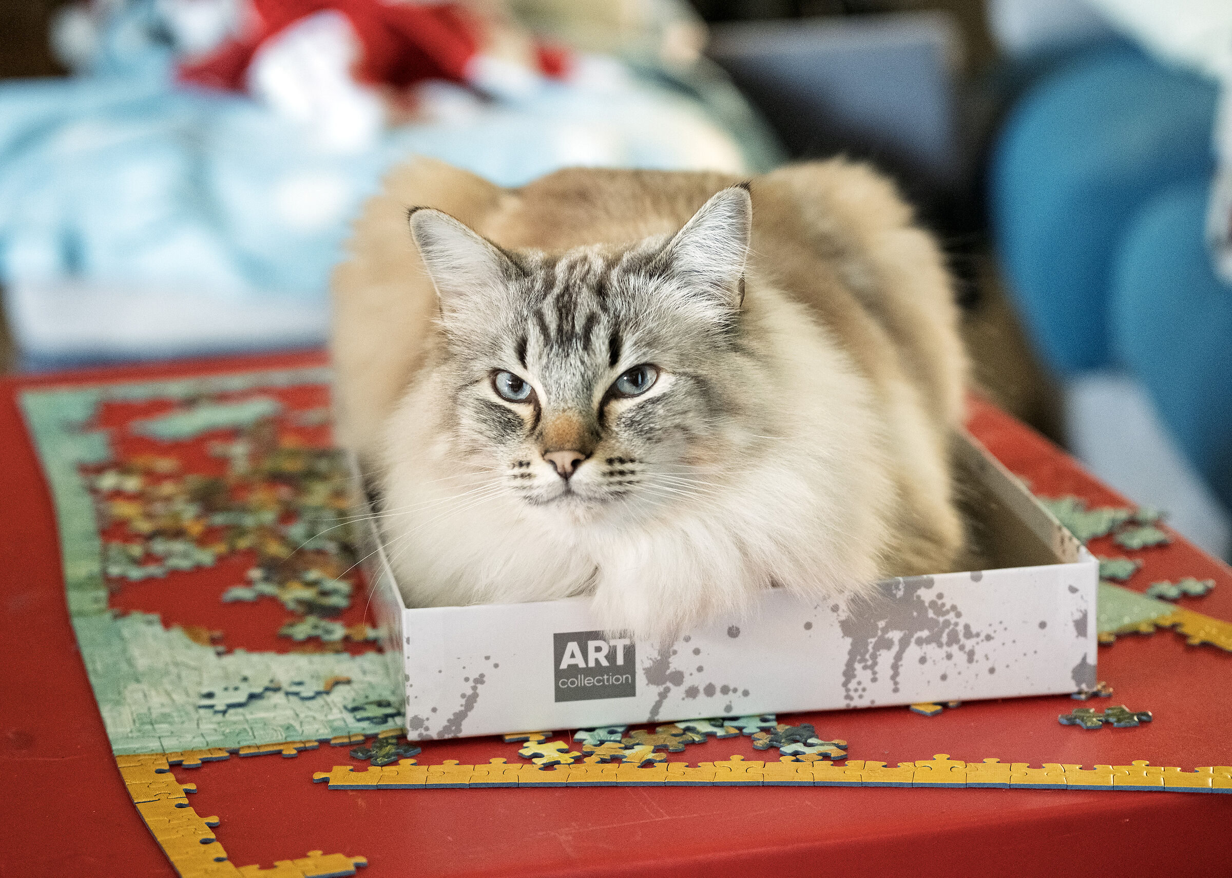 I would have loved to continue doing the puzzle, but...