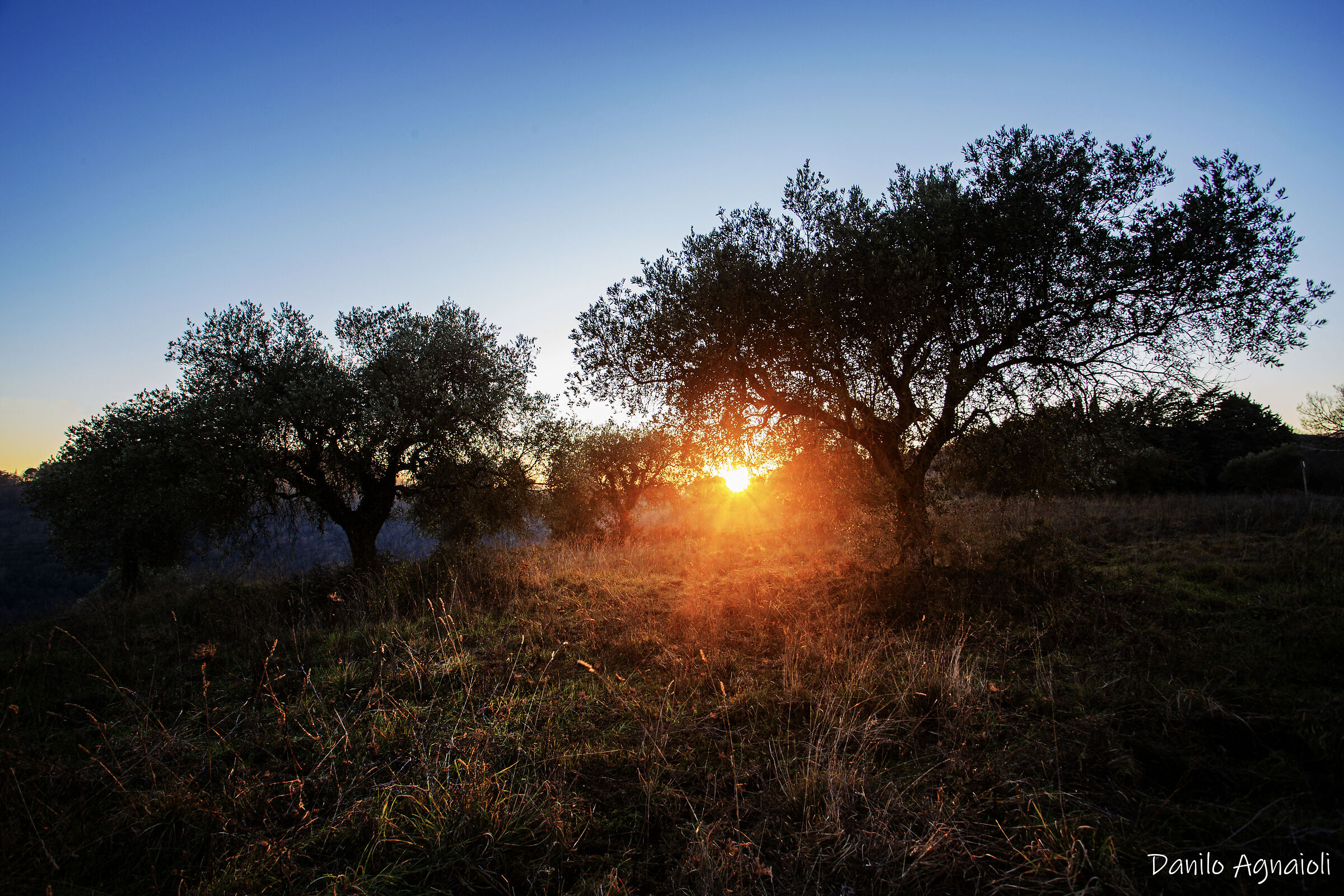 Between ancient shadows and new light