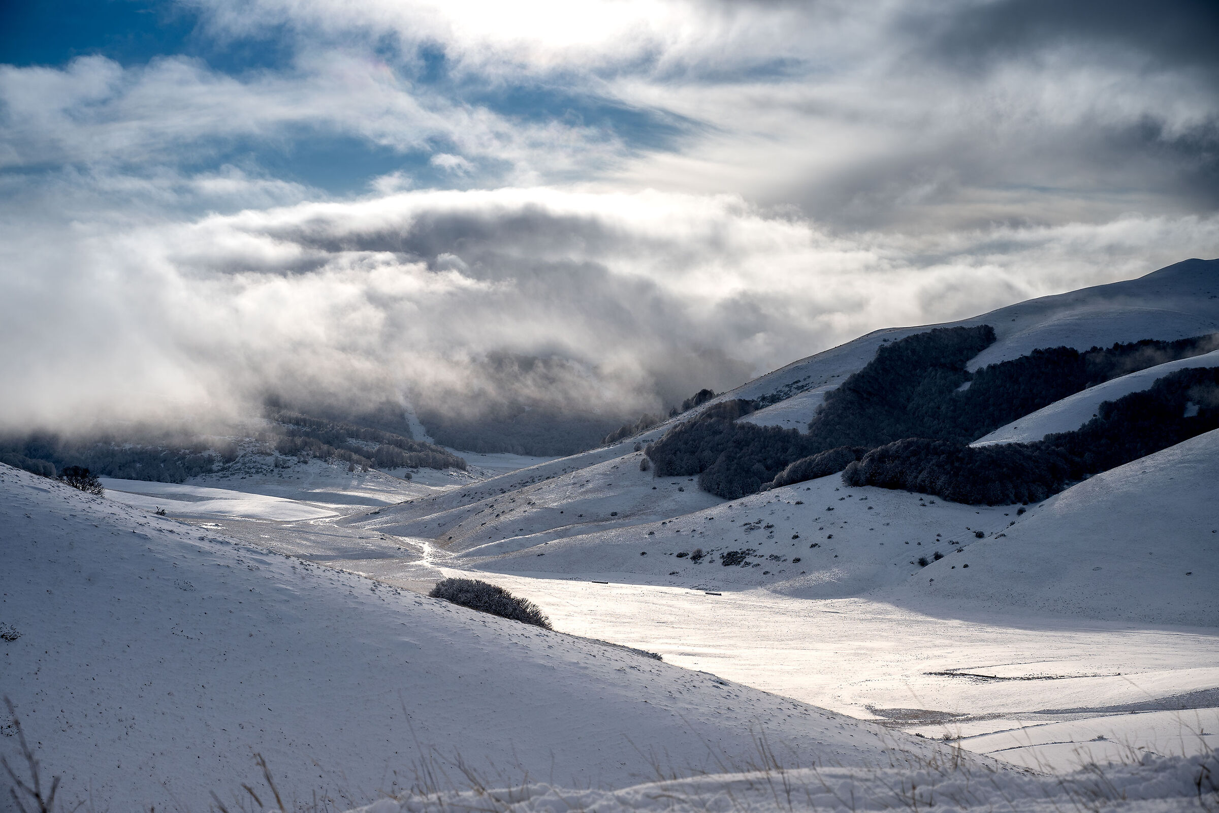 bianco incontaminato