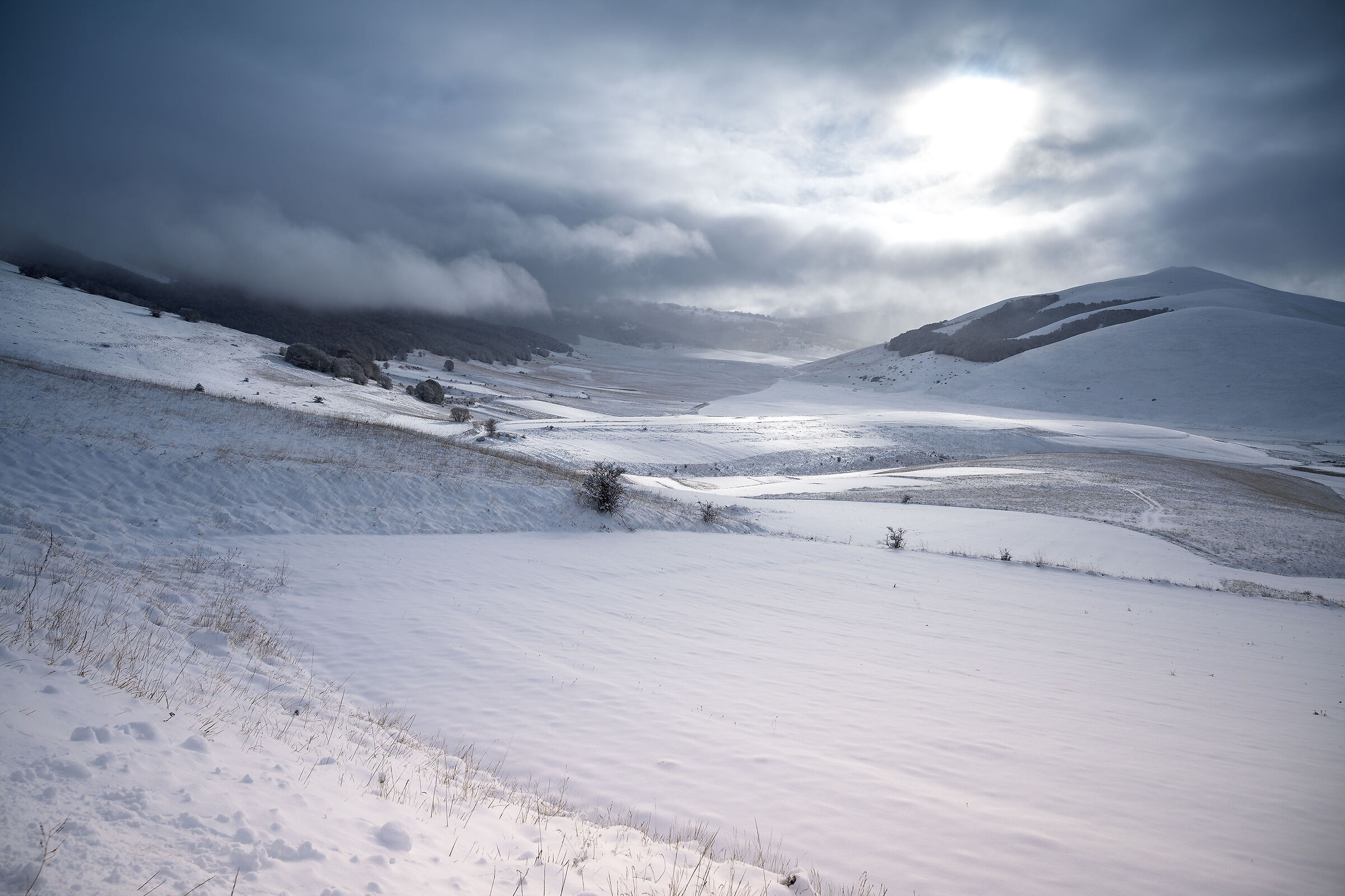 bianco incontaminato