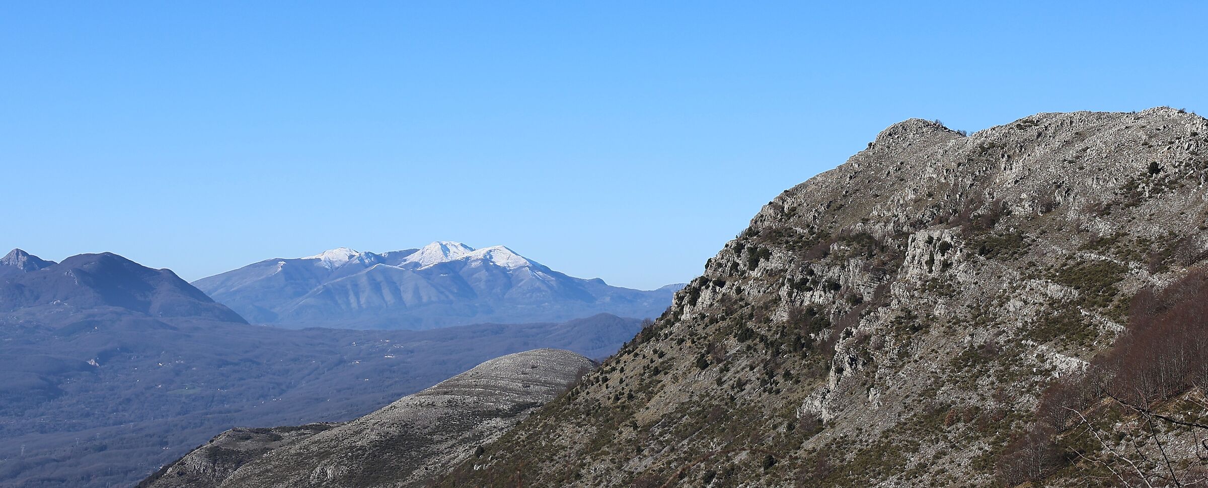 Pollino