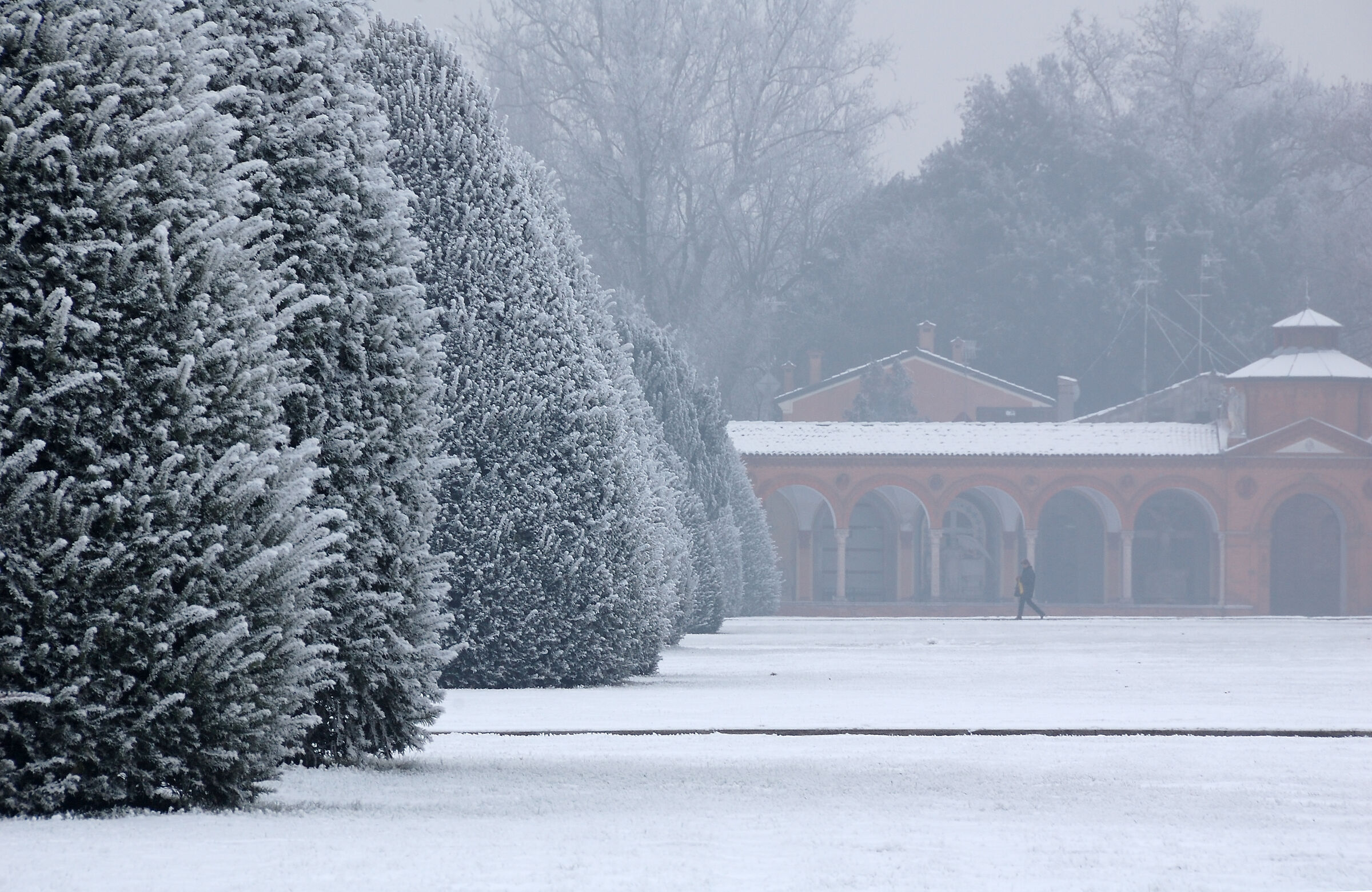 Neve sulla città dei morti