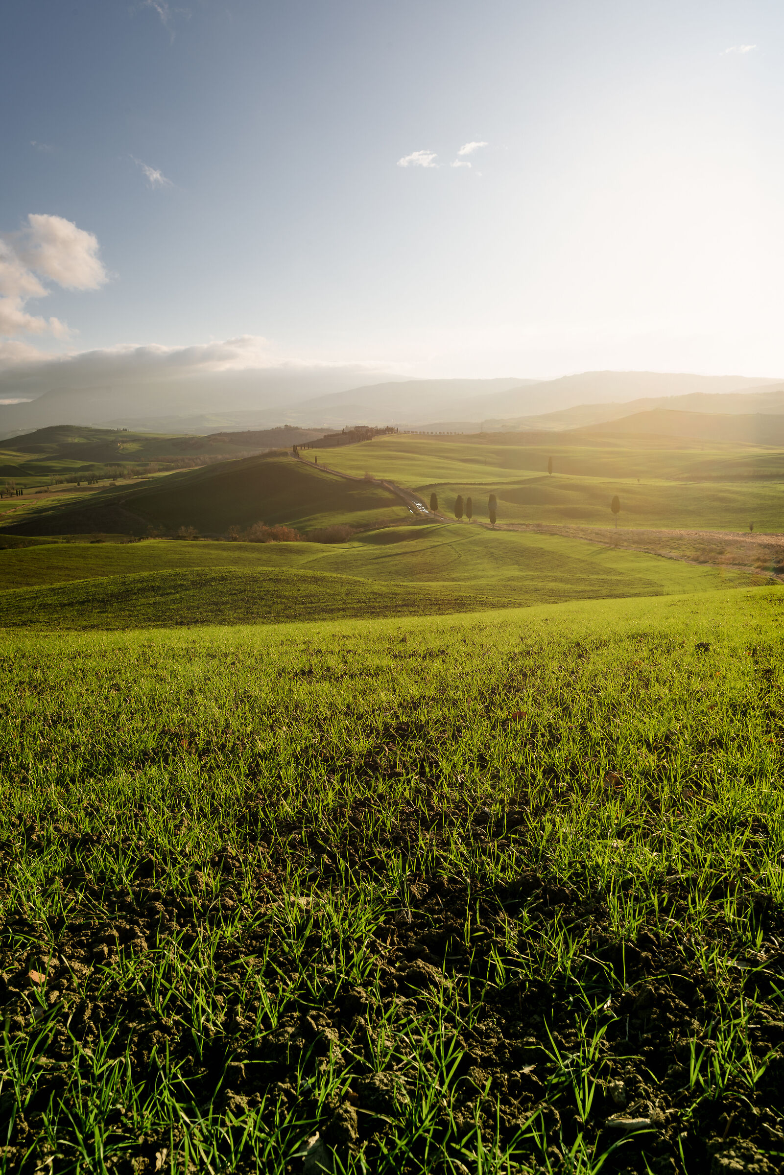 Val D'orcia