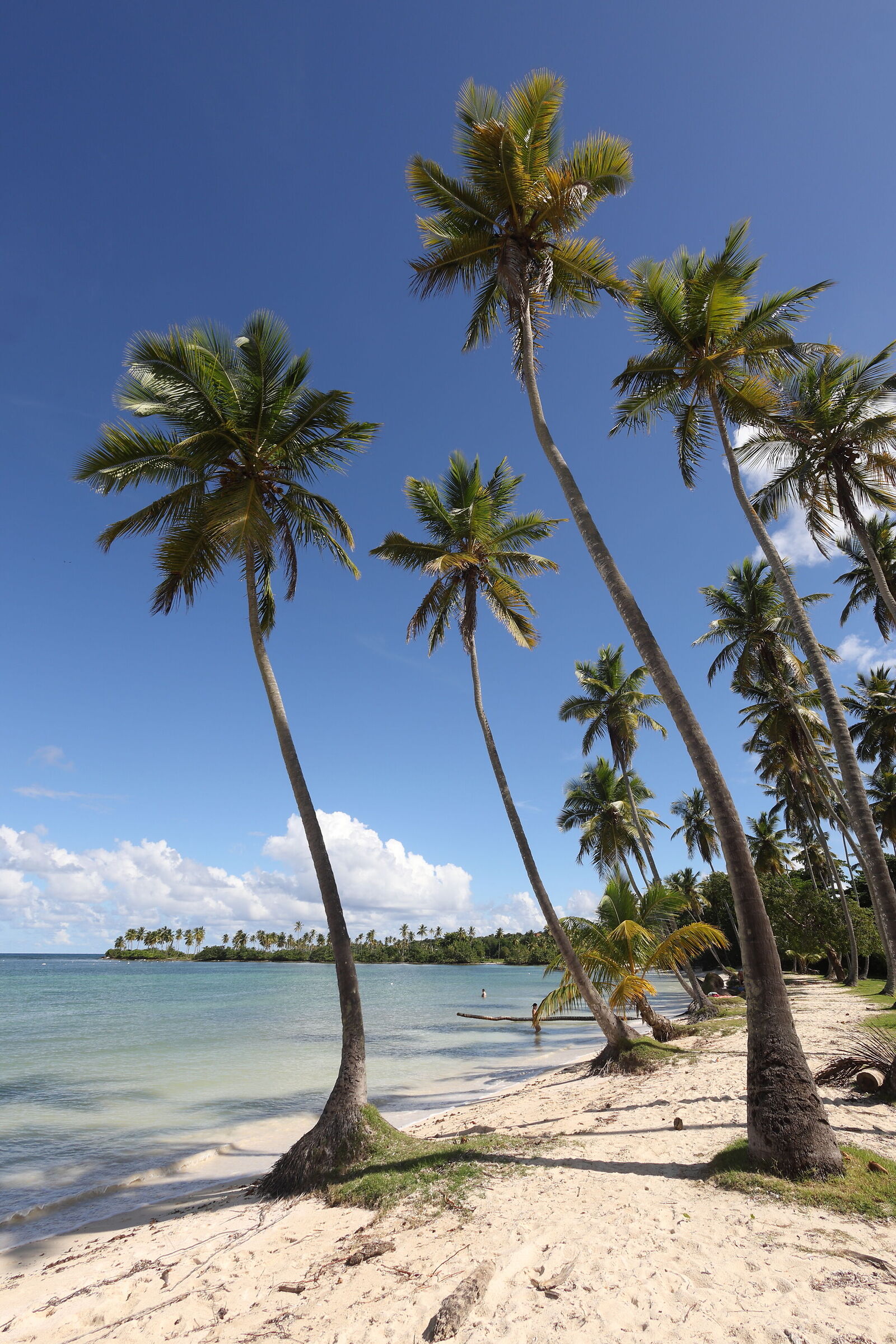 Playa Aserradero, Samana