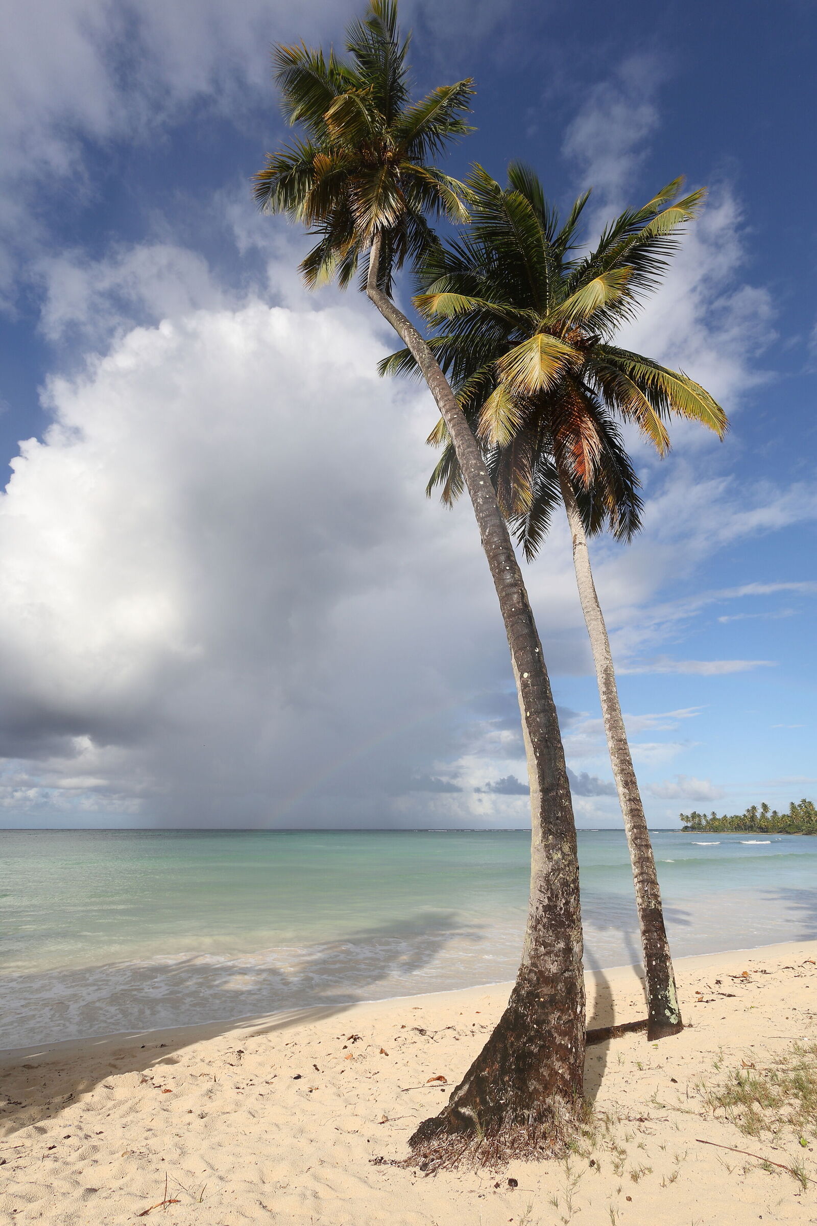 Playa Las Galeras, Samana