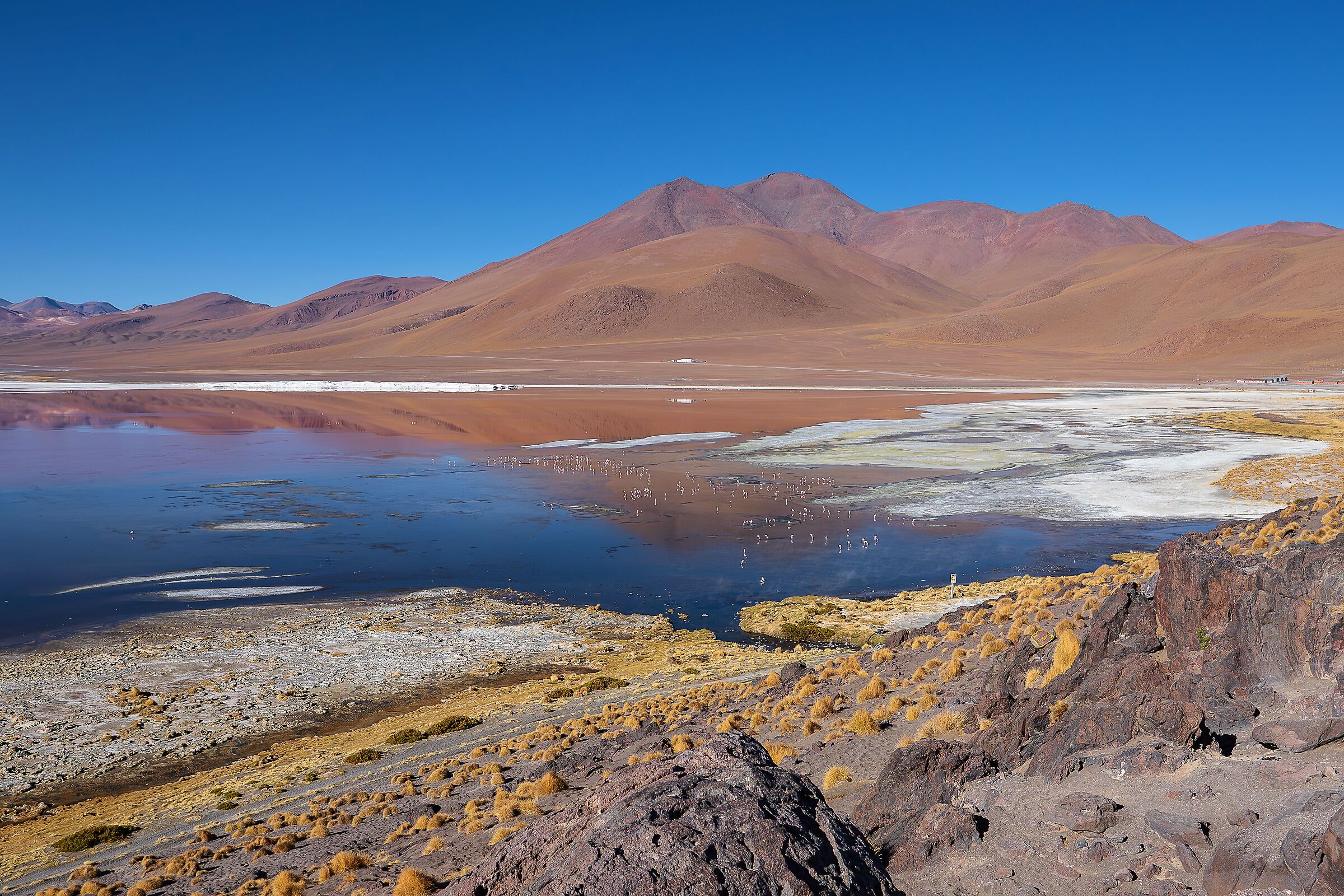 la natura....i suoi splendori!