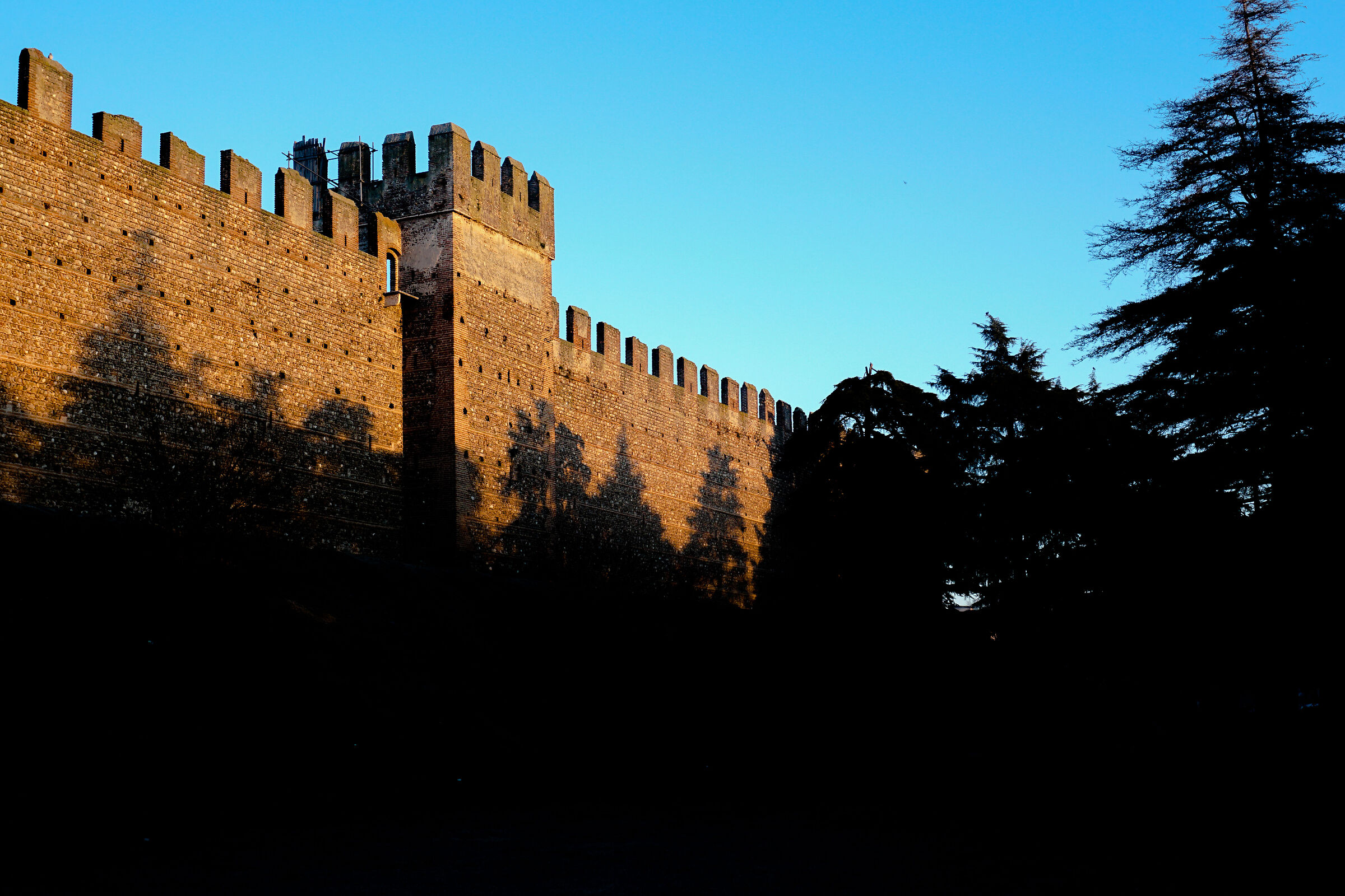 invincible until the forest of Birnam advances