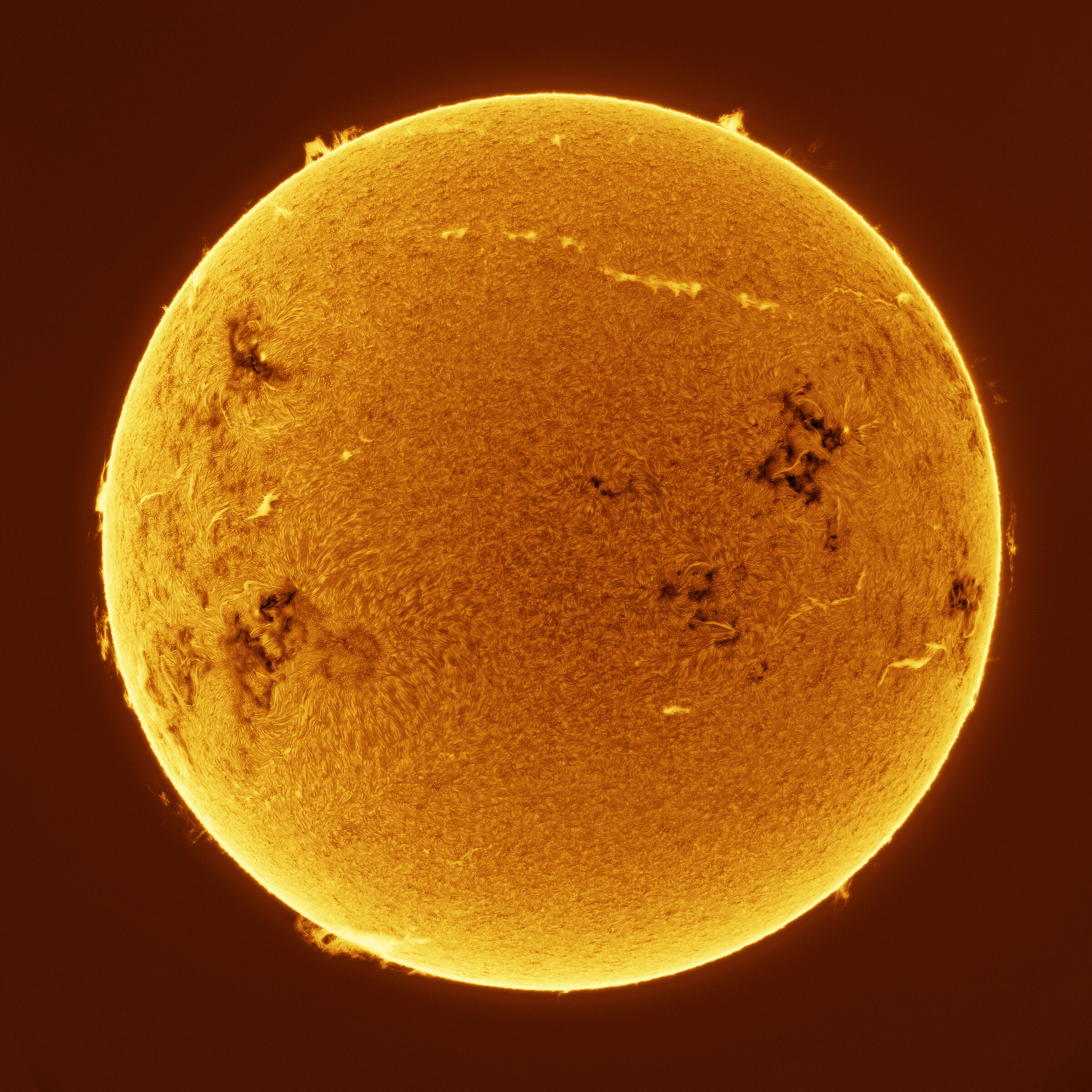 Today's Sun (29.12.2025)