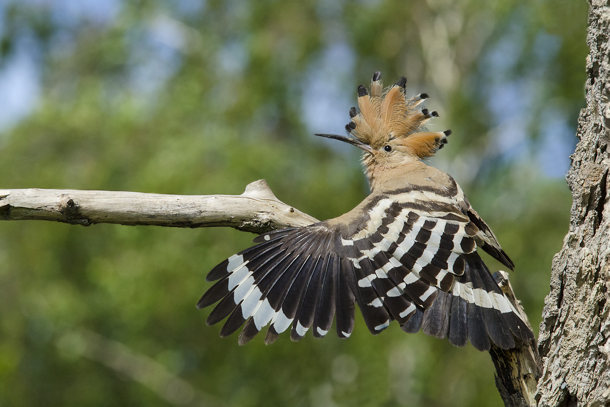 stretching dopo la cova
