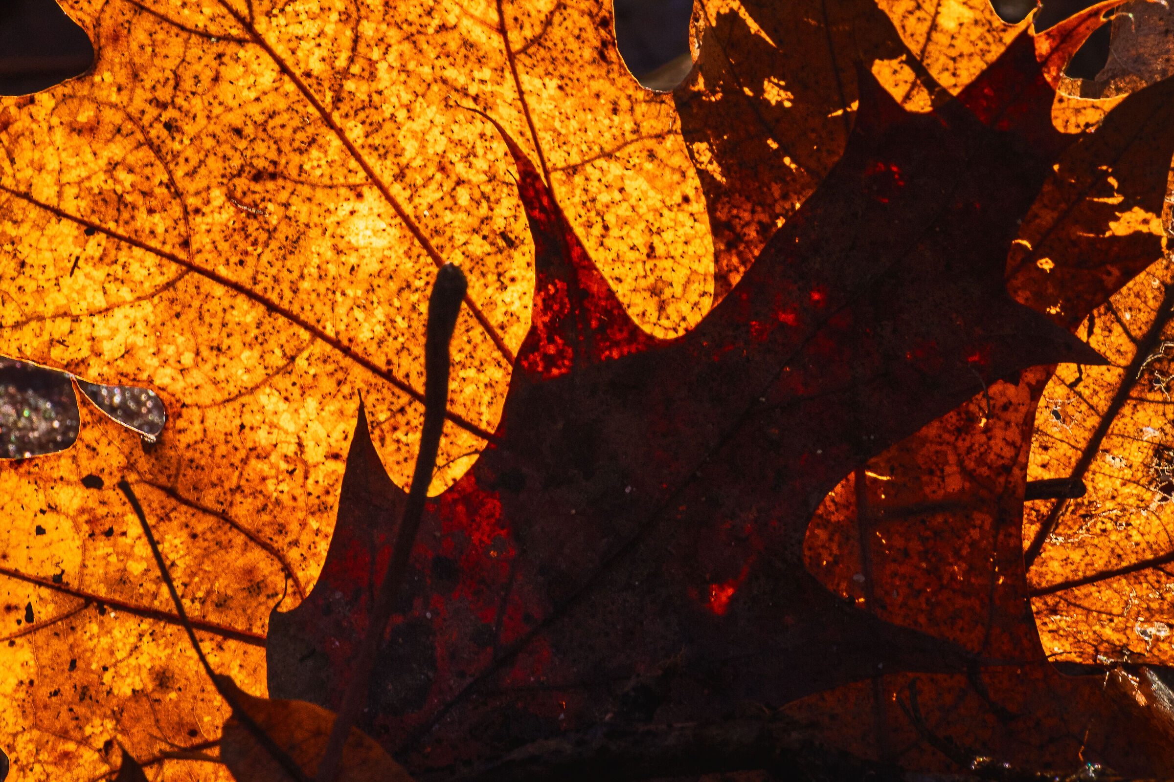 Does it work better?