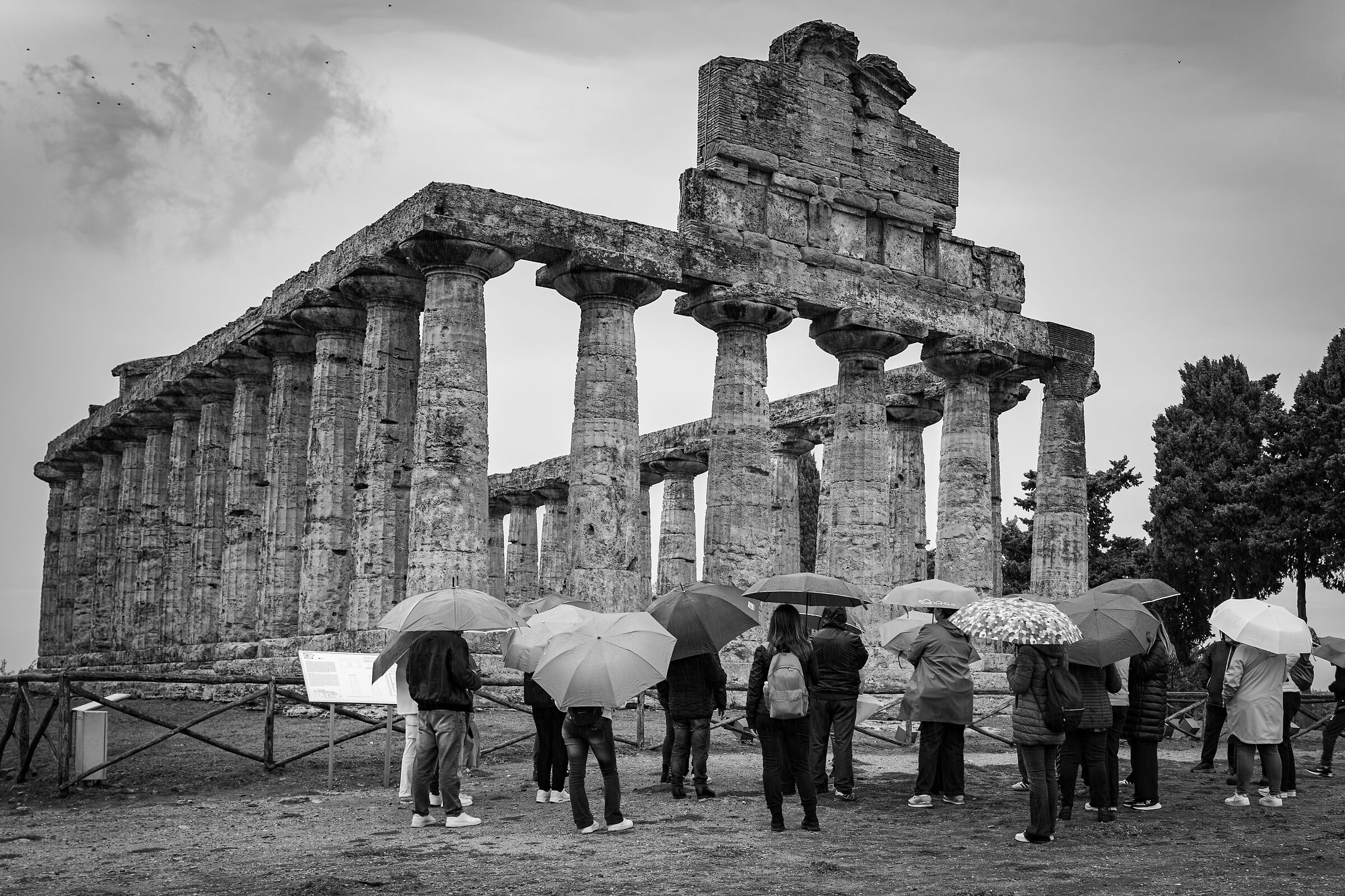 Paestum