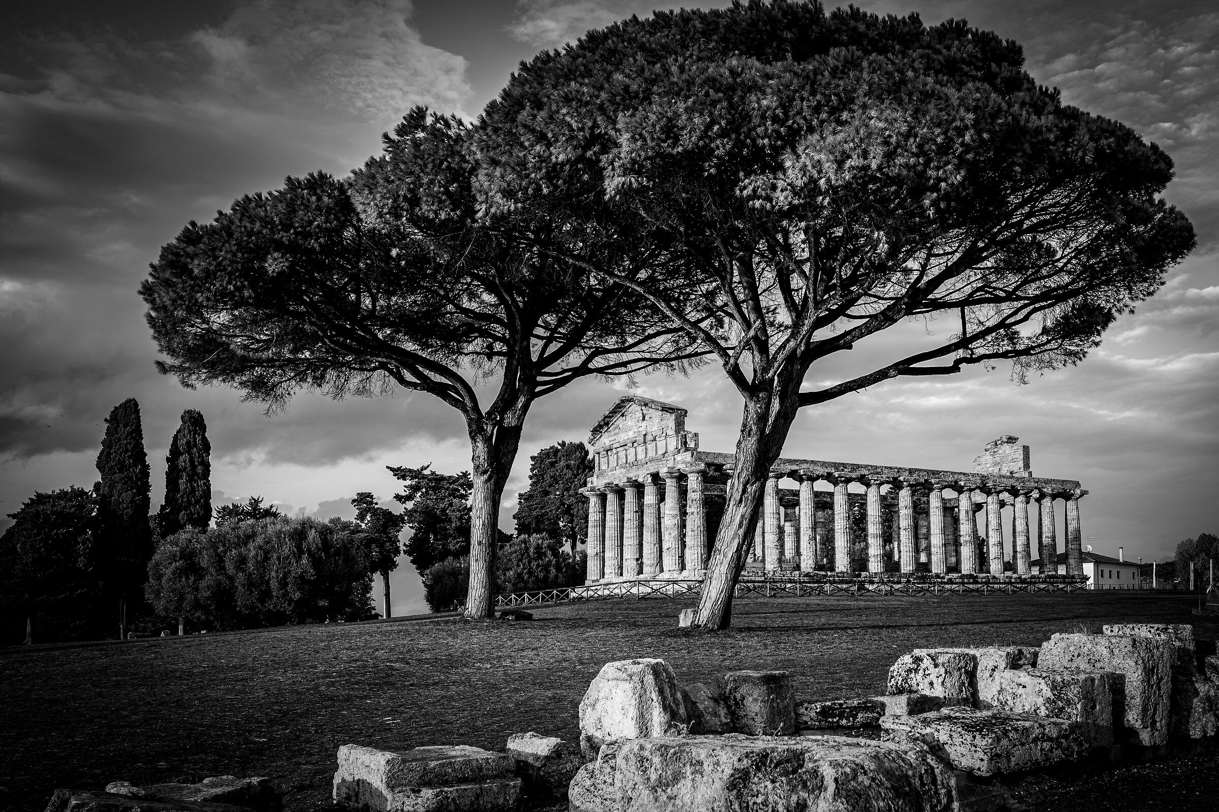Paestum