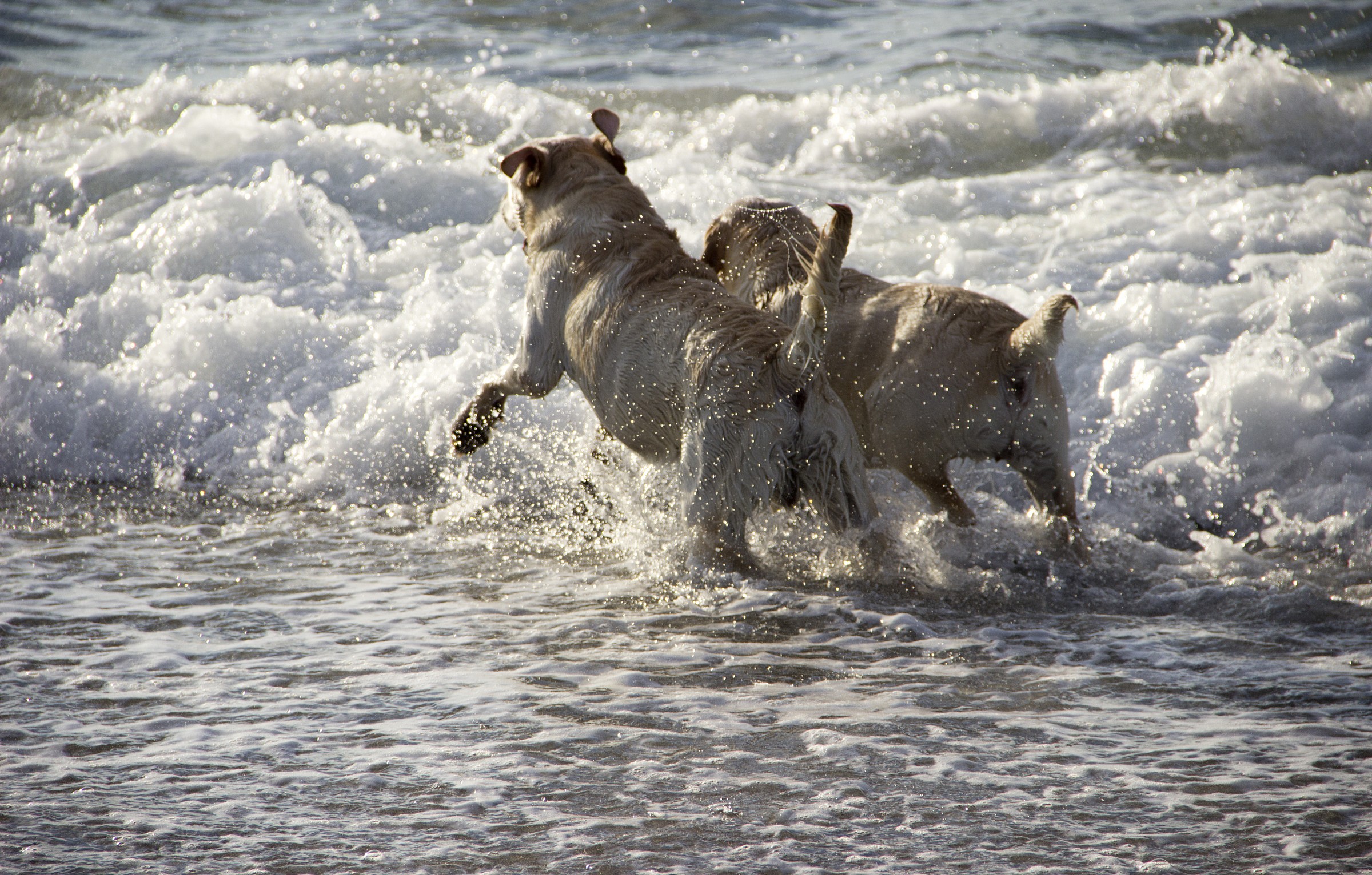Lottando con le onde