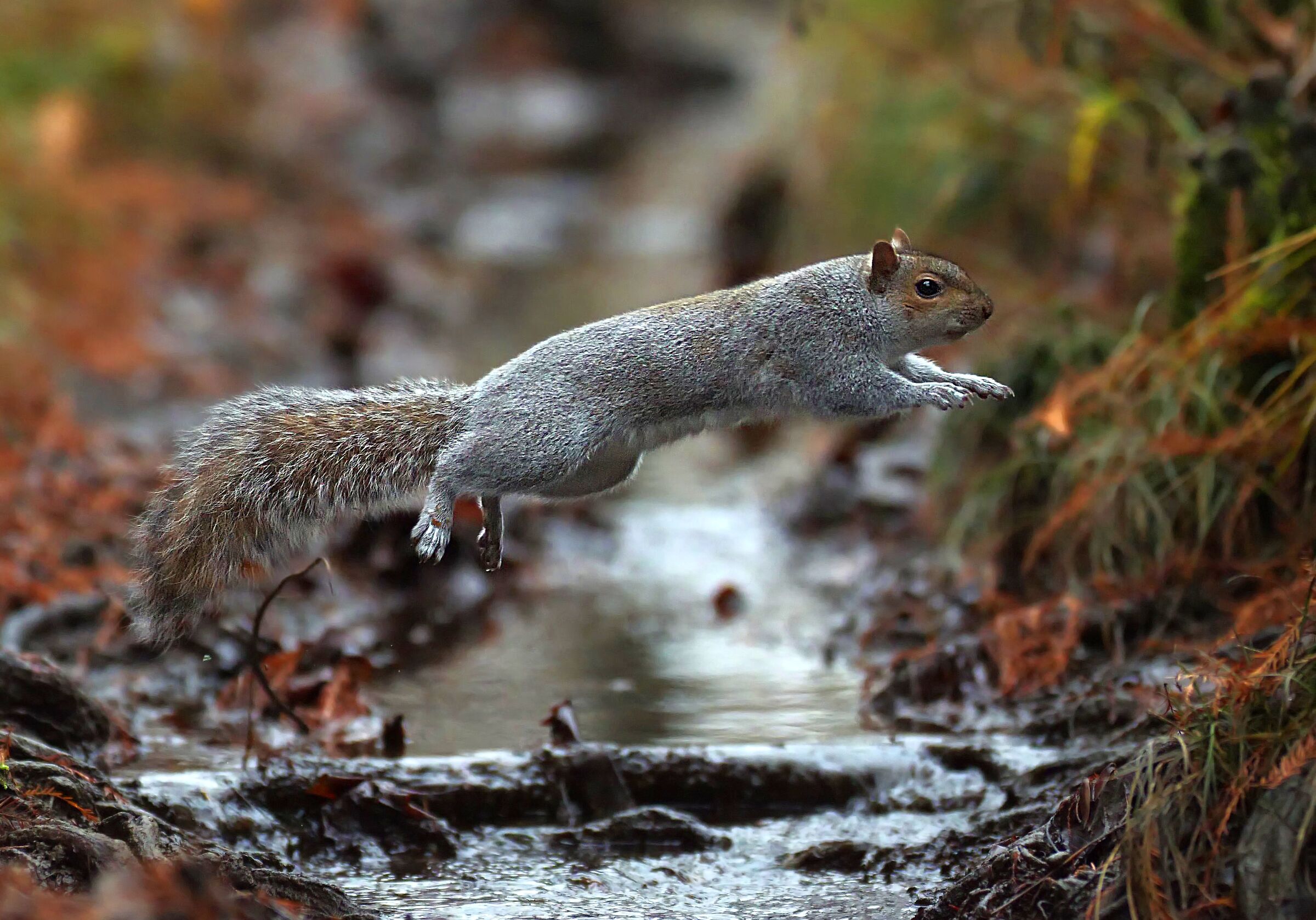 Double but also half