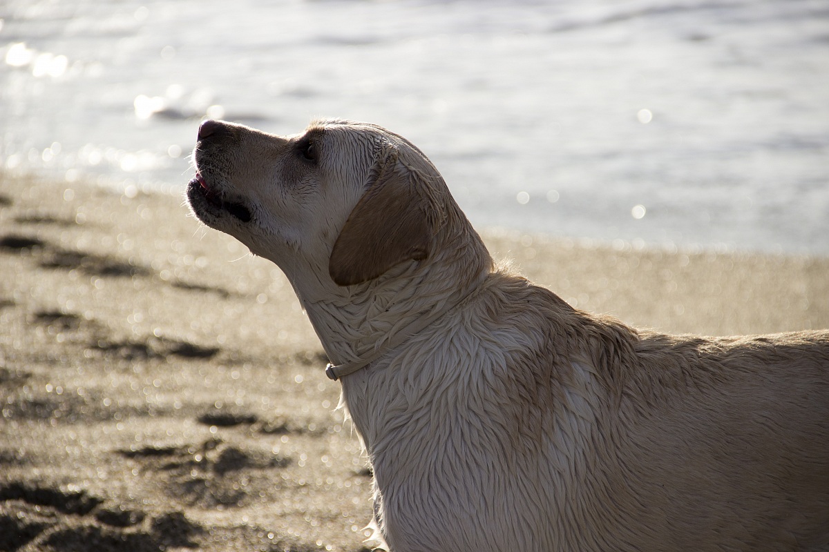 While waiting for the piece of wood