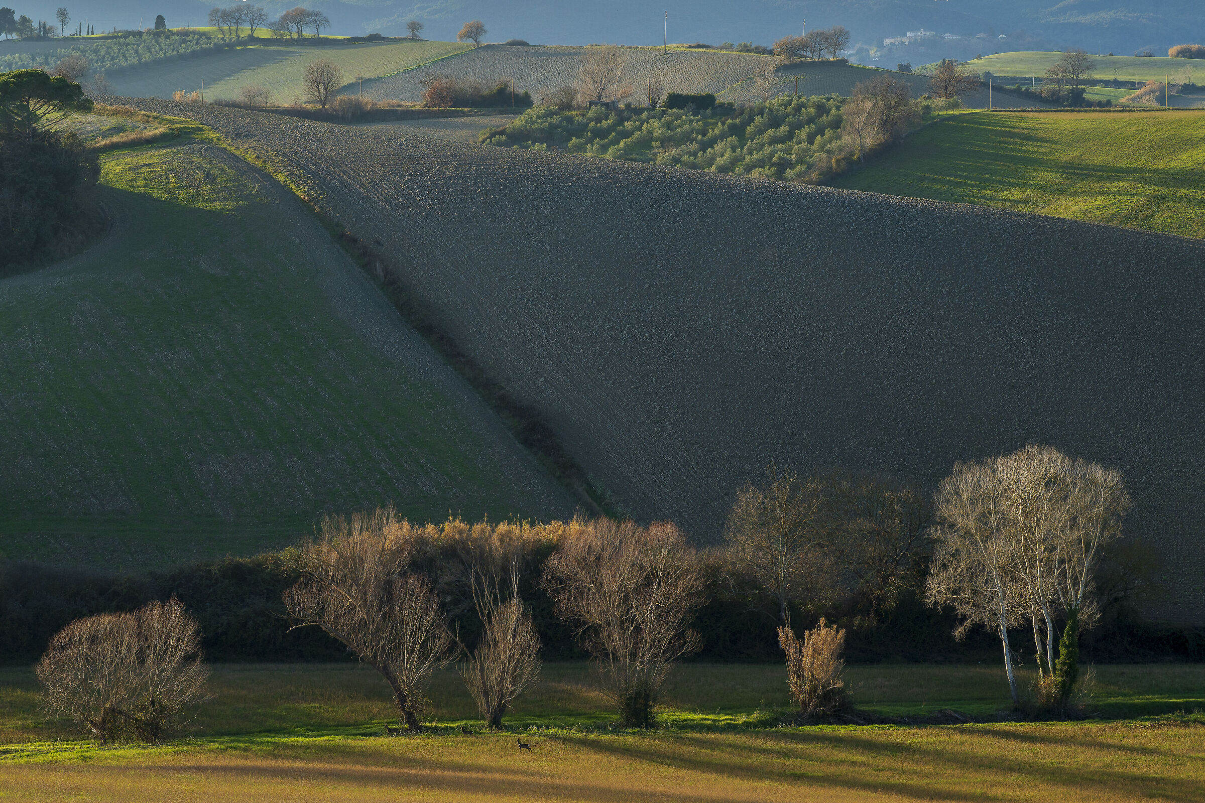 Vediamo chi riesce a trovarli...