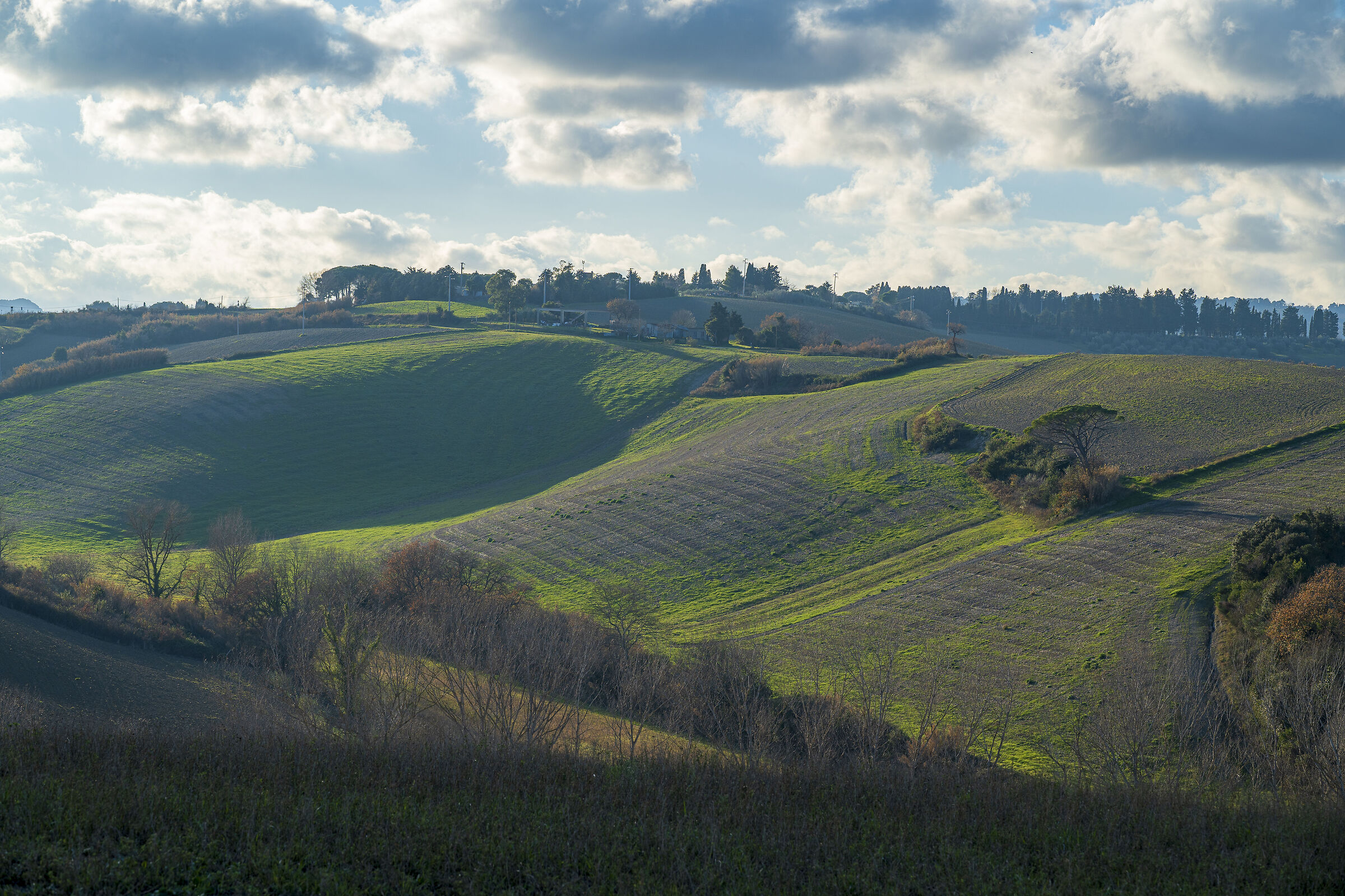 Le colline di Orciano