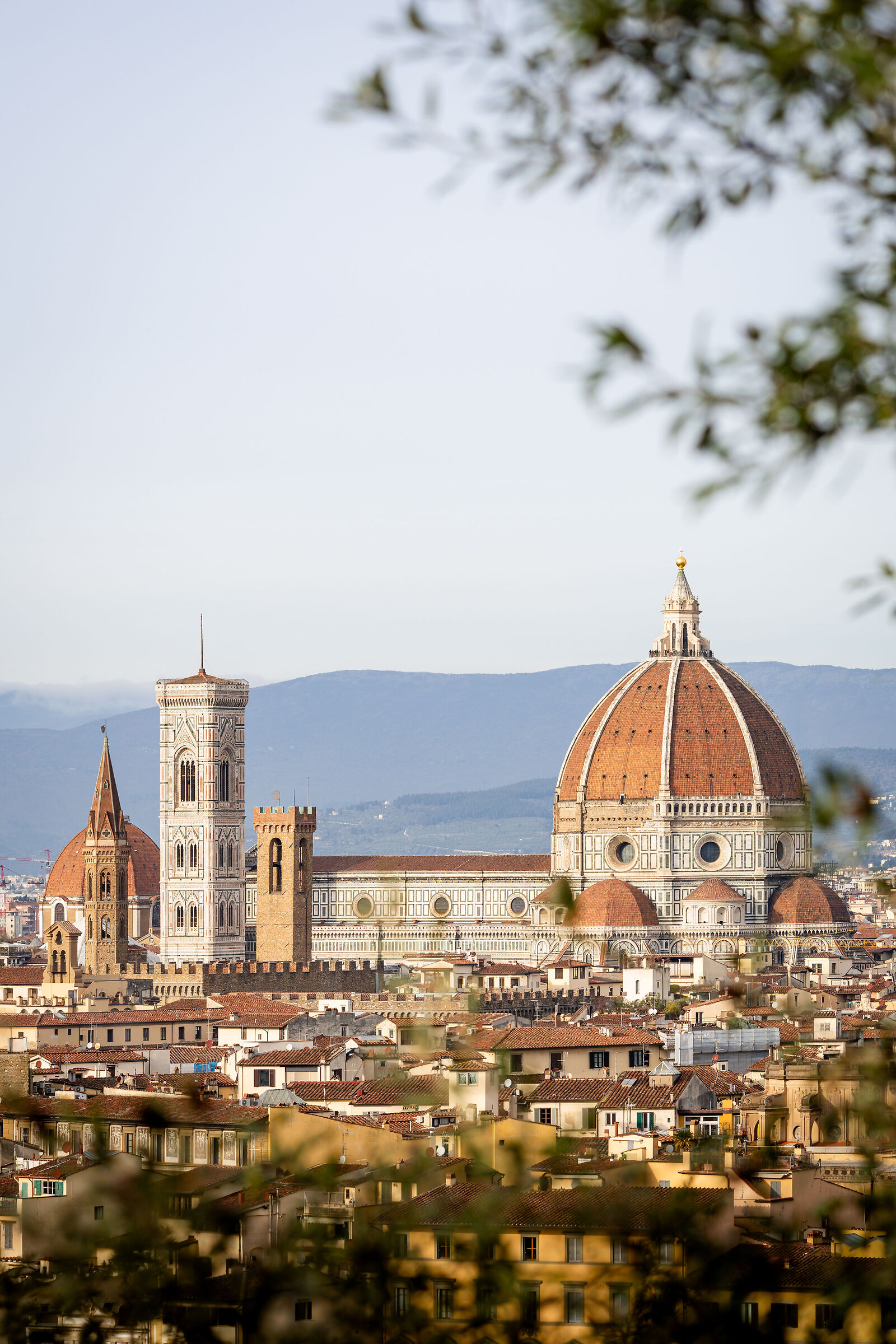 Firenze
