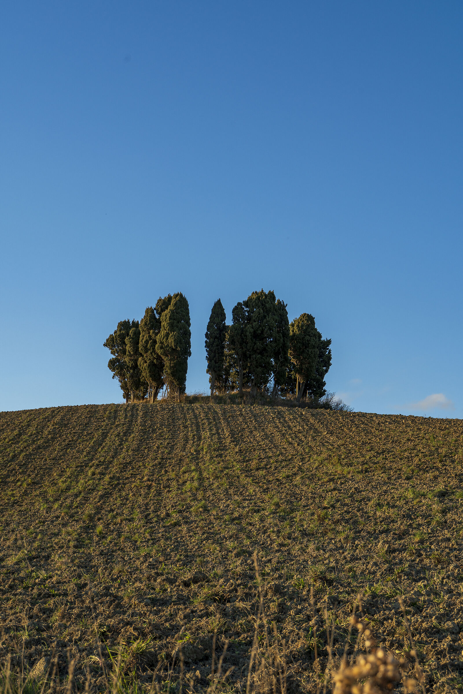 Untitled Photo