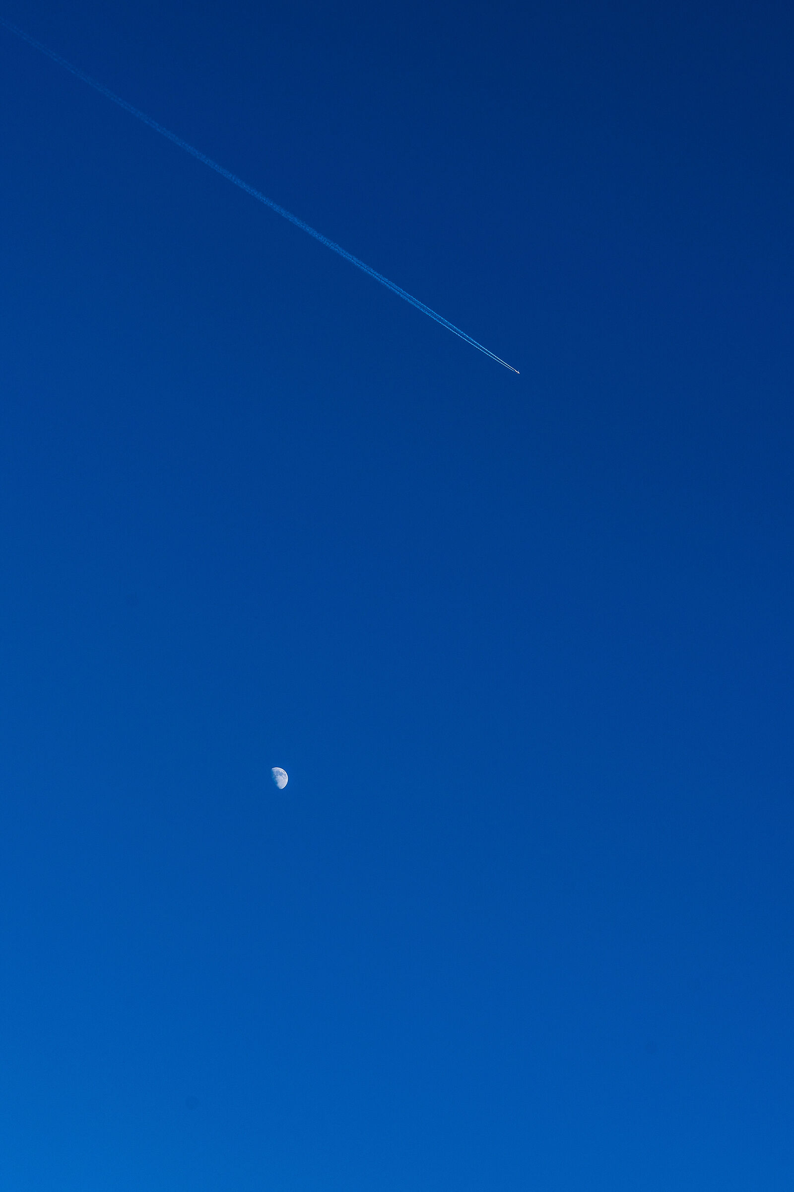 Untitled Photo