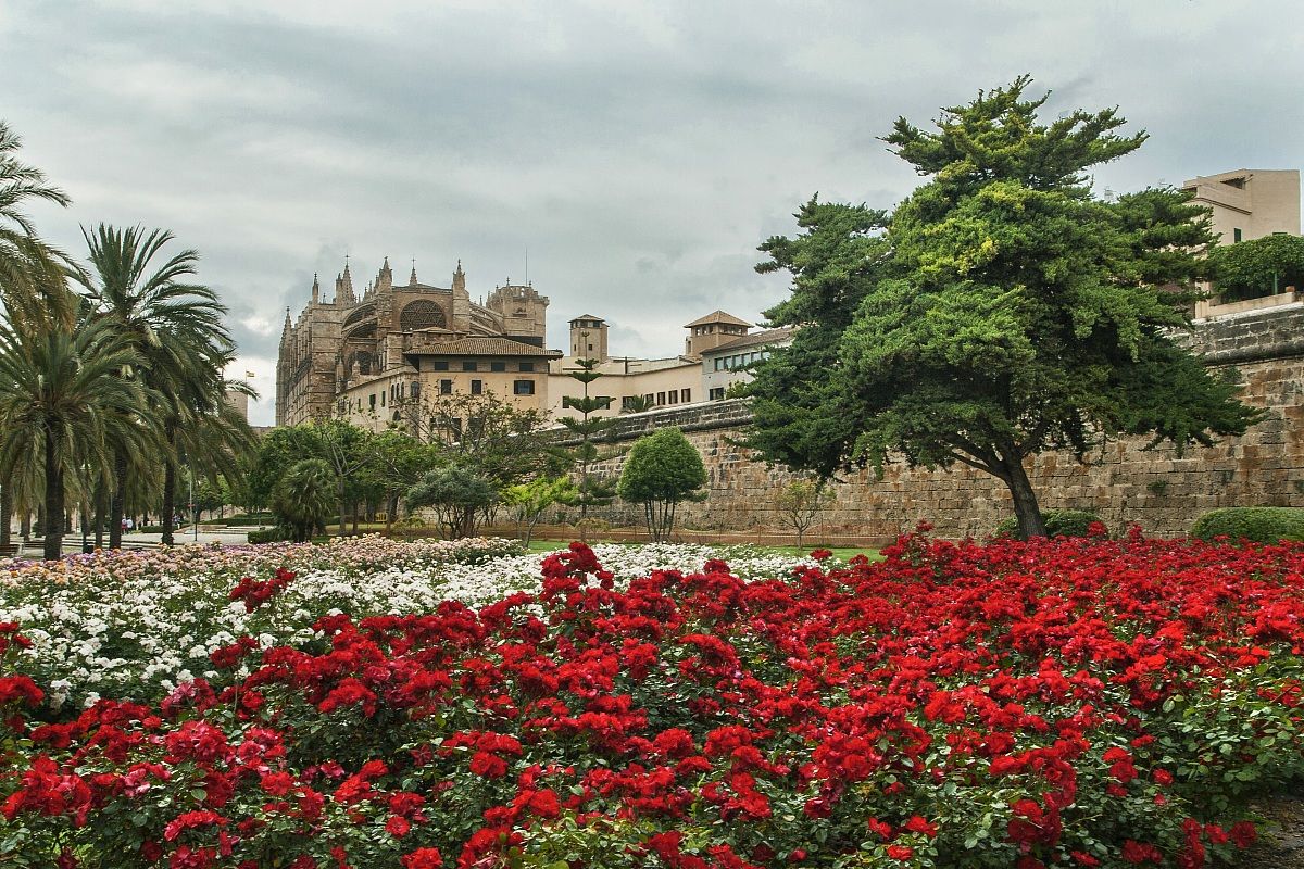 la cattedrale con i piedi fioriti