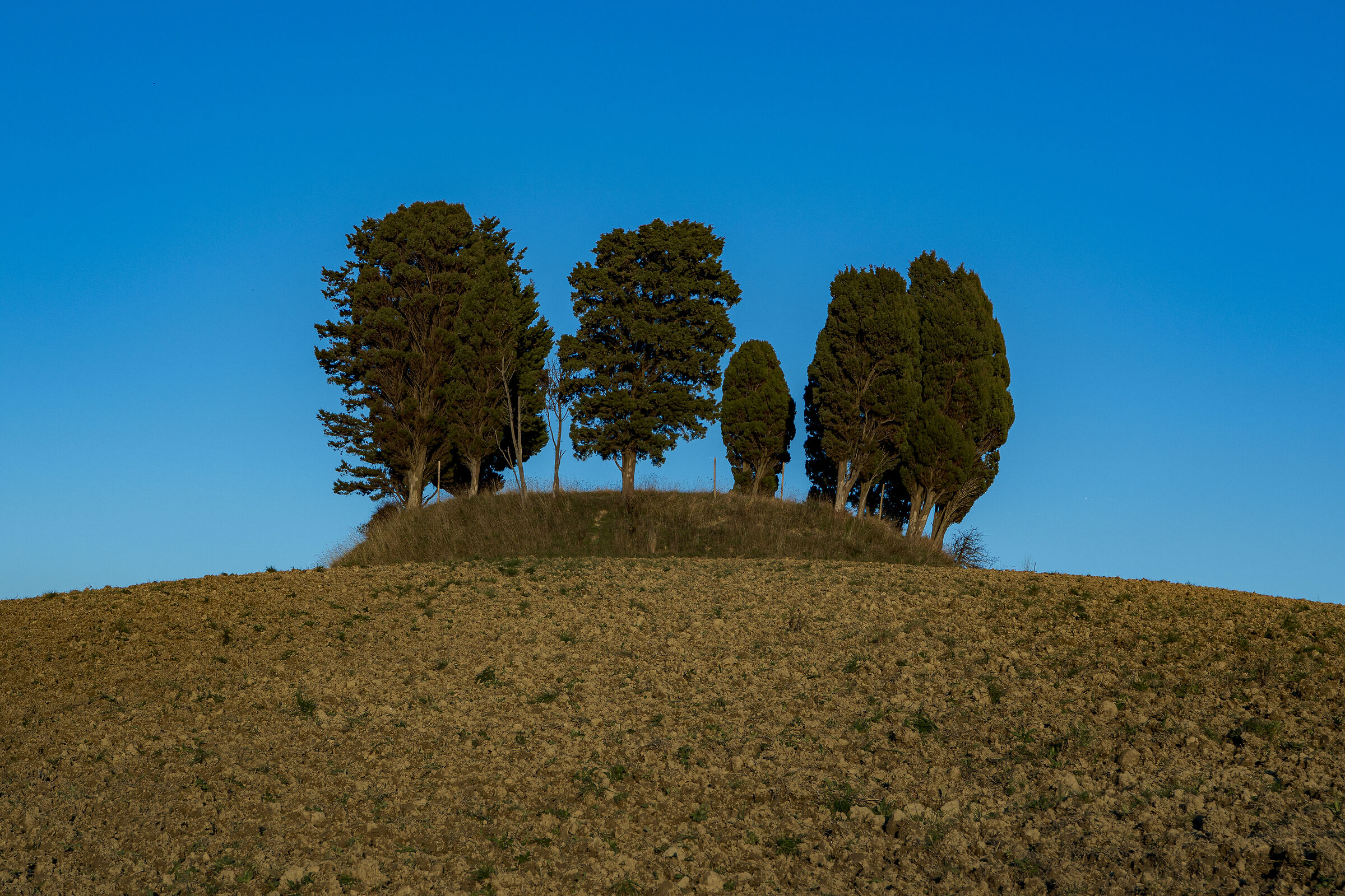 The island