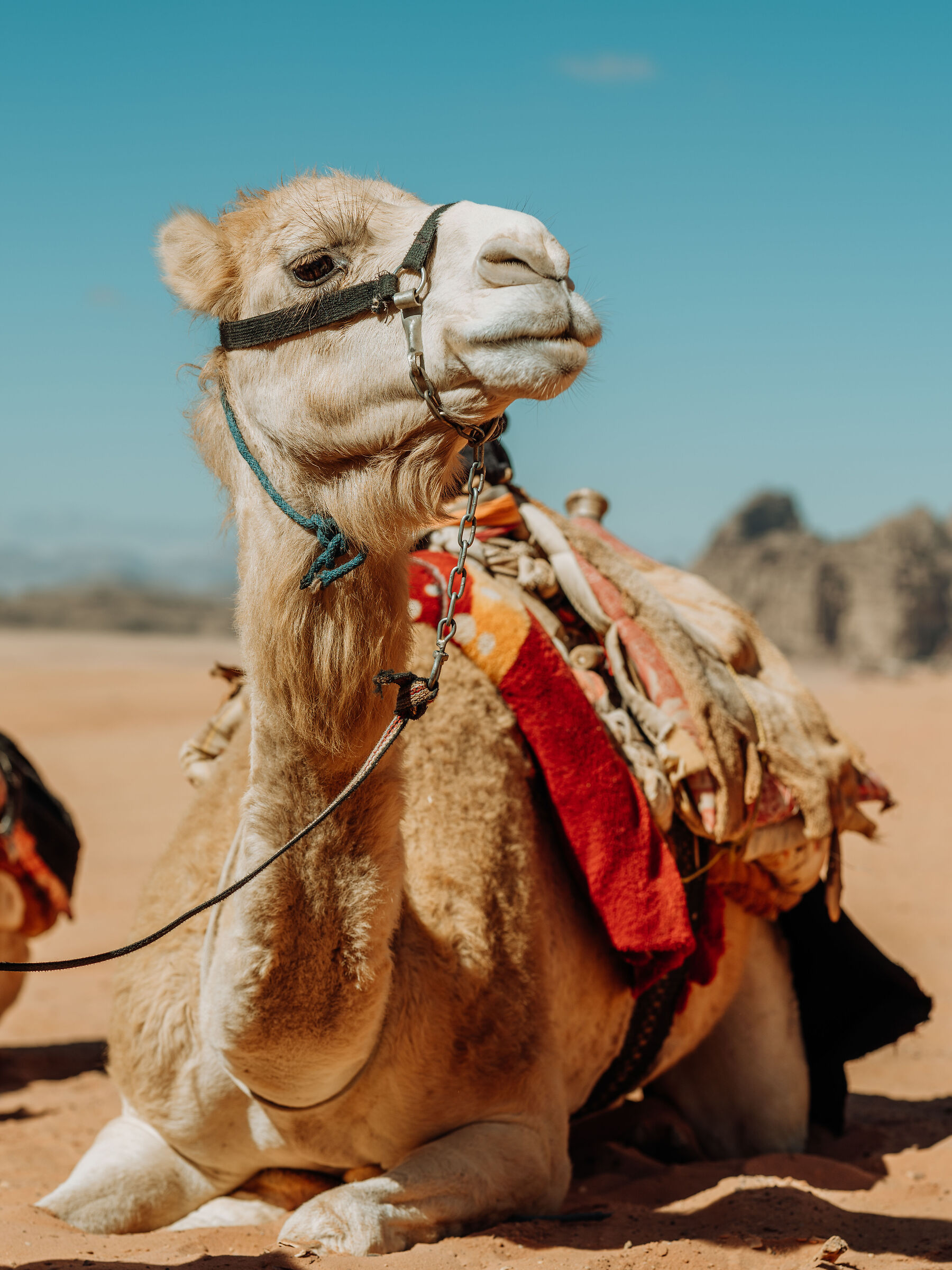 Wadi Rum