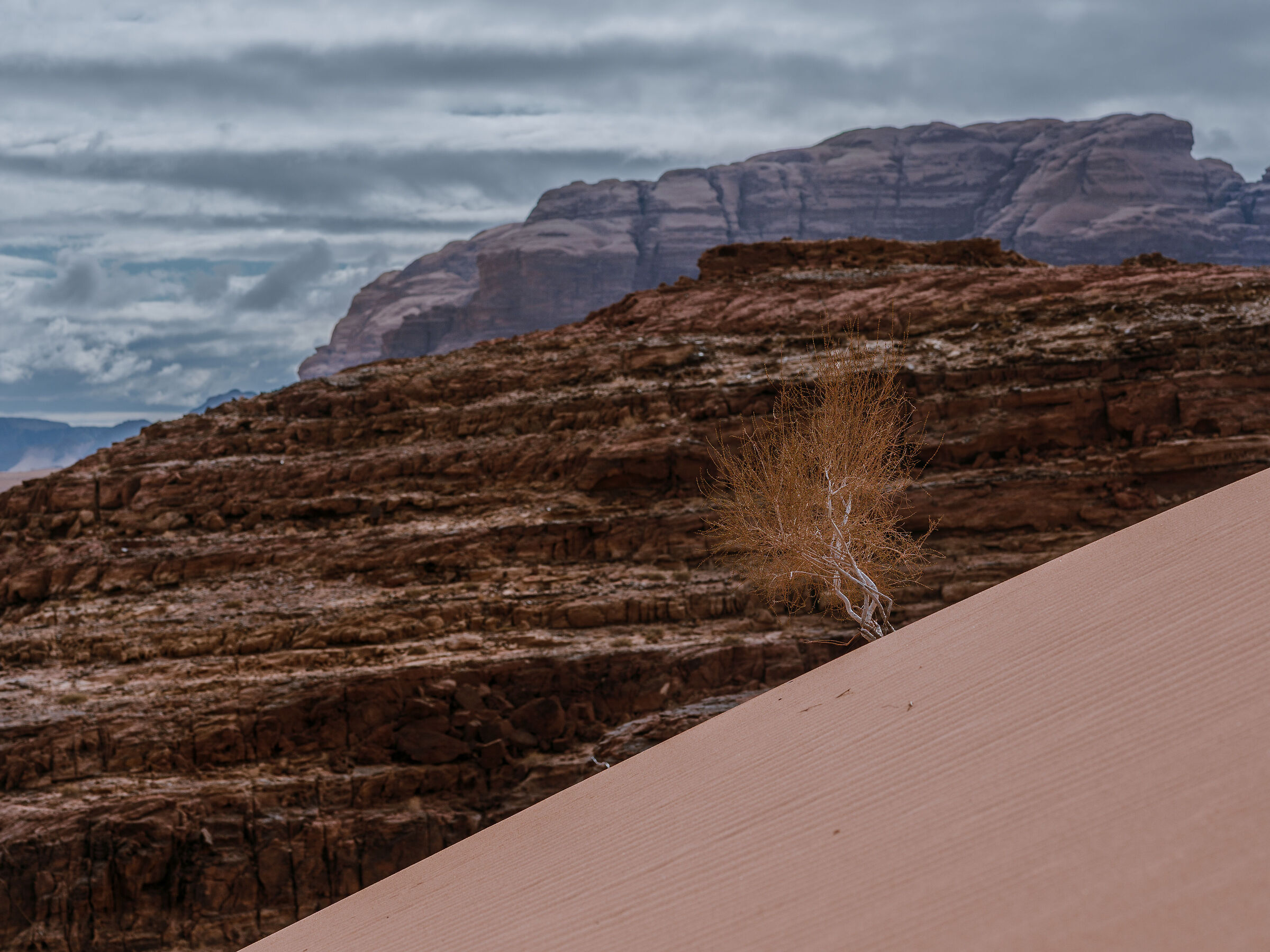 Wadi Rum