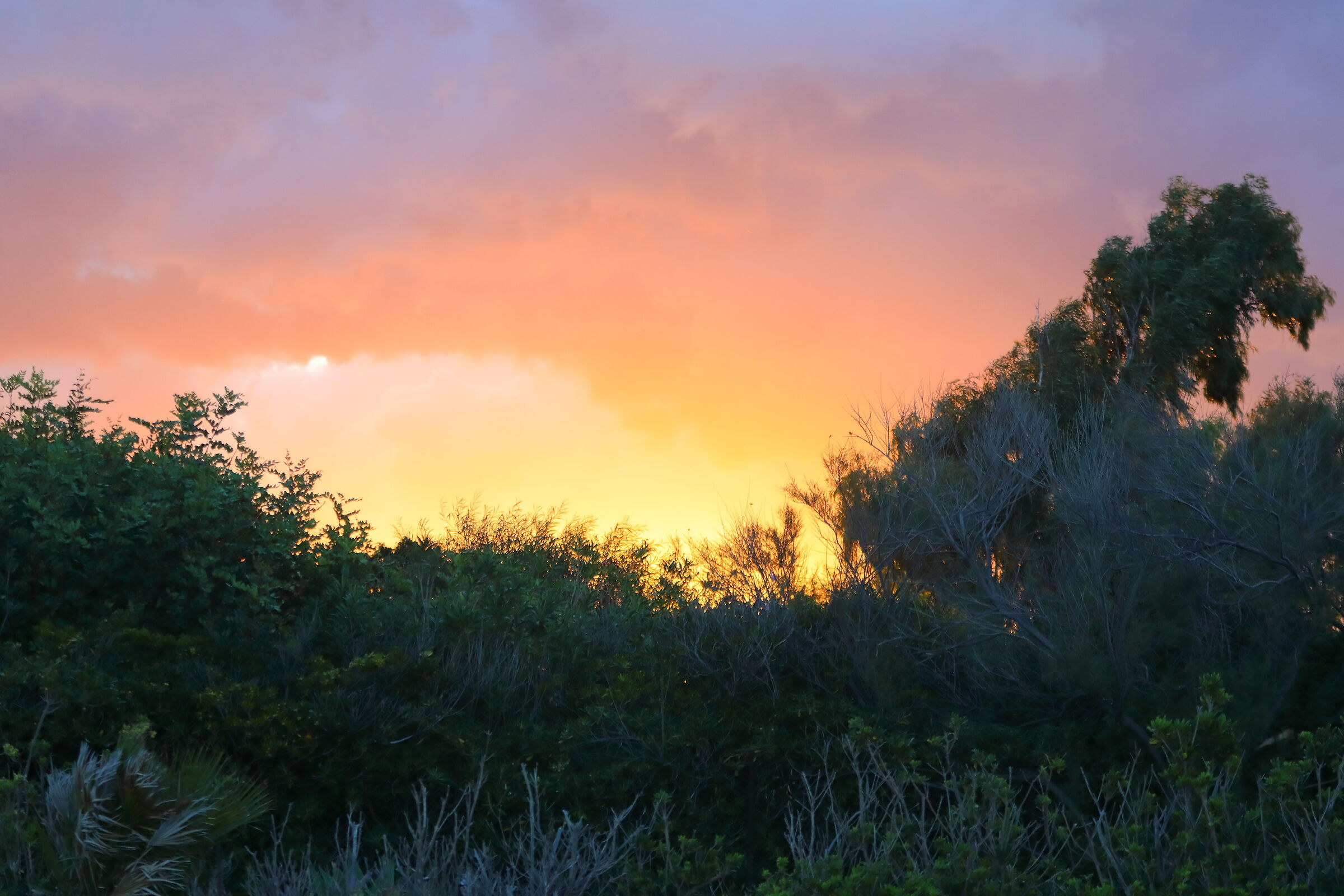 Alba 07 ottobre 2025 - 0392