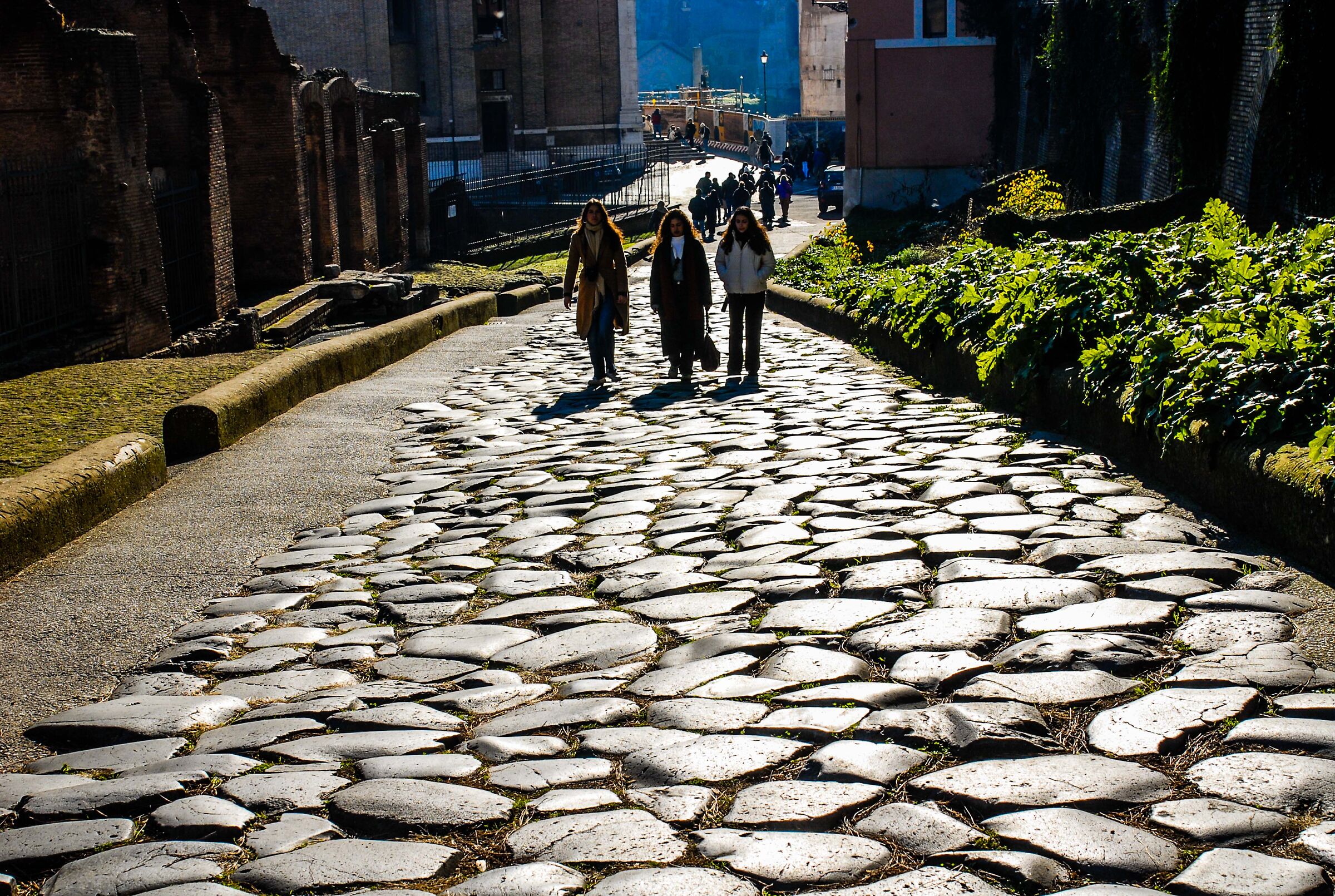 Rome-Backlight behind the arch of Septimius Severus