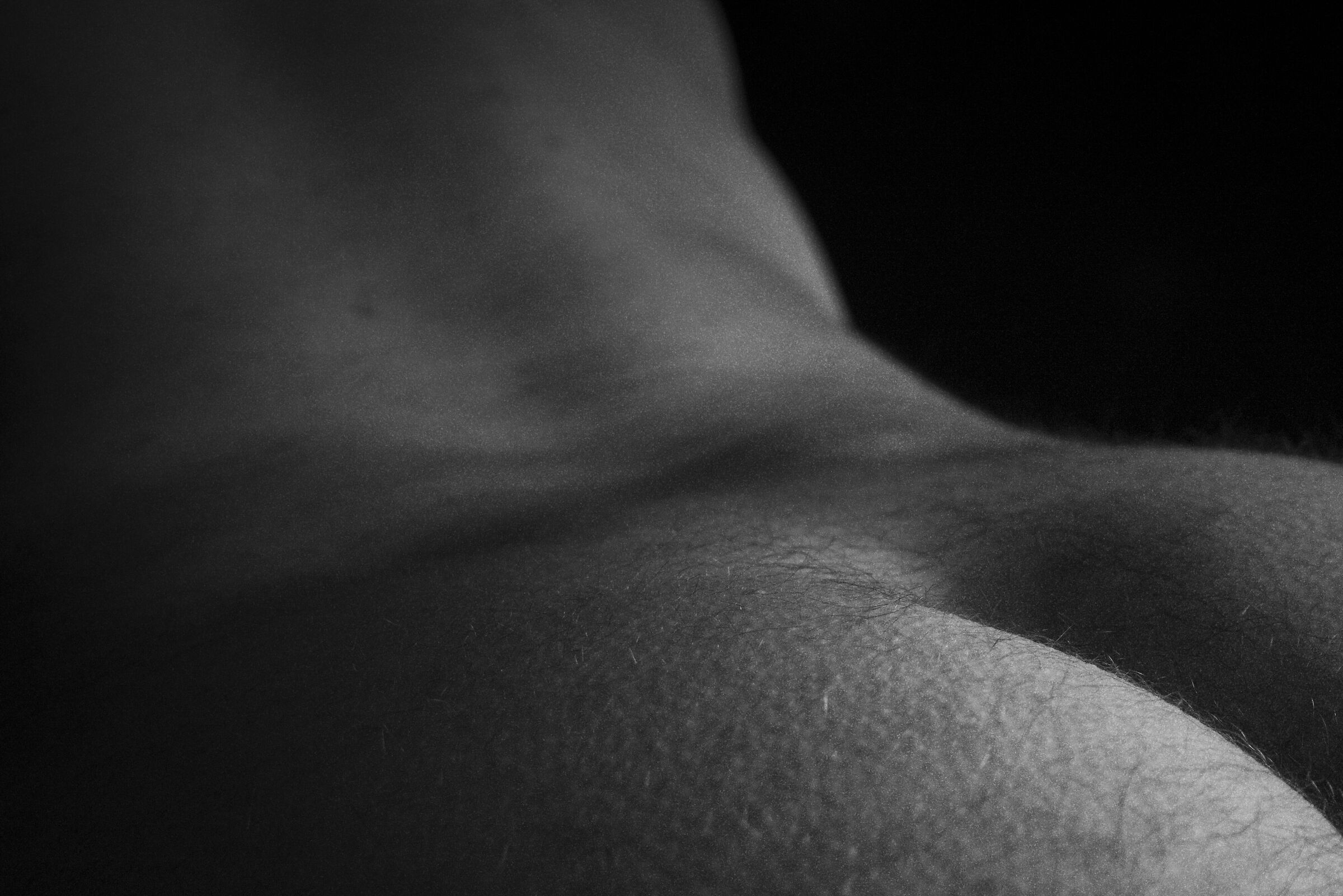 Bodyscape