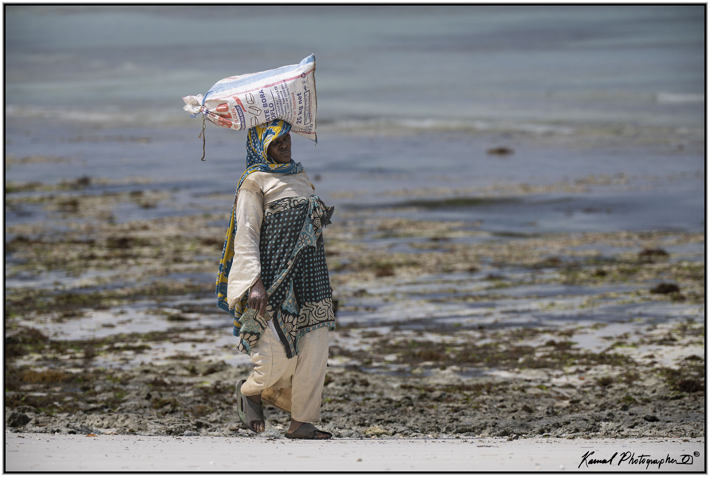 Raccoglitrice di alghe a Pemba