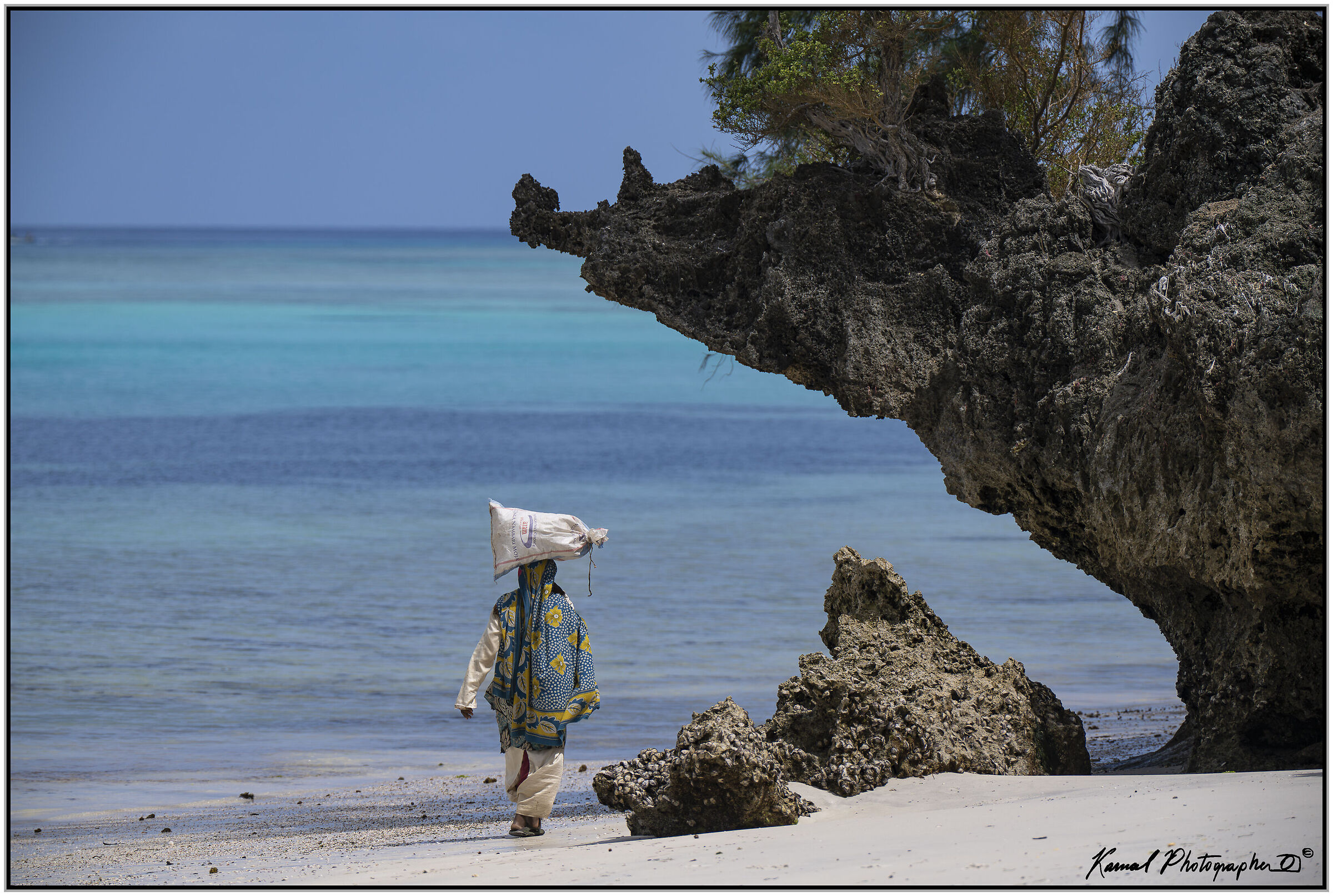 Seaweed harvester in Pemba